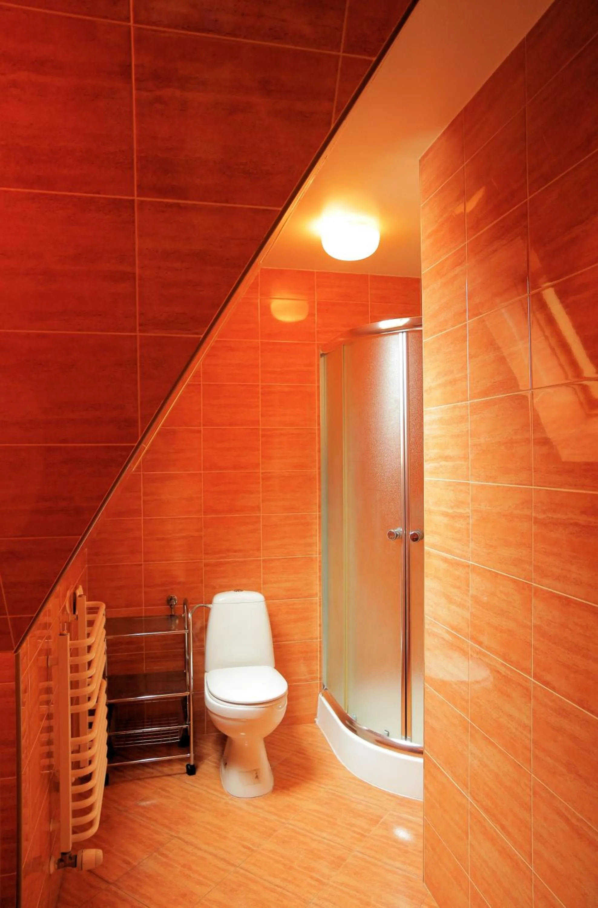 Shower in Pokoje Gościnne Pod Giewontem