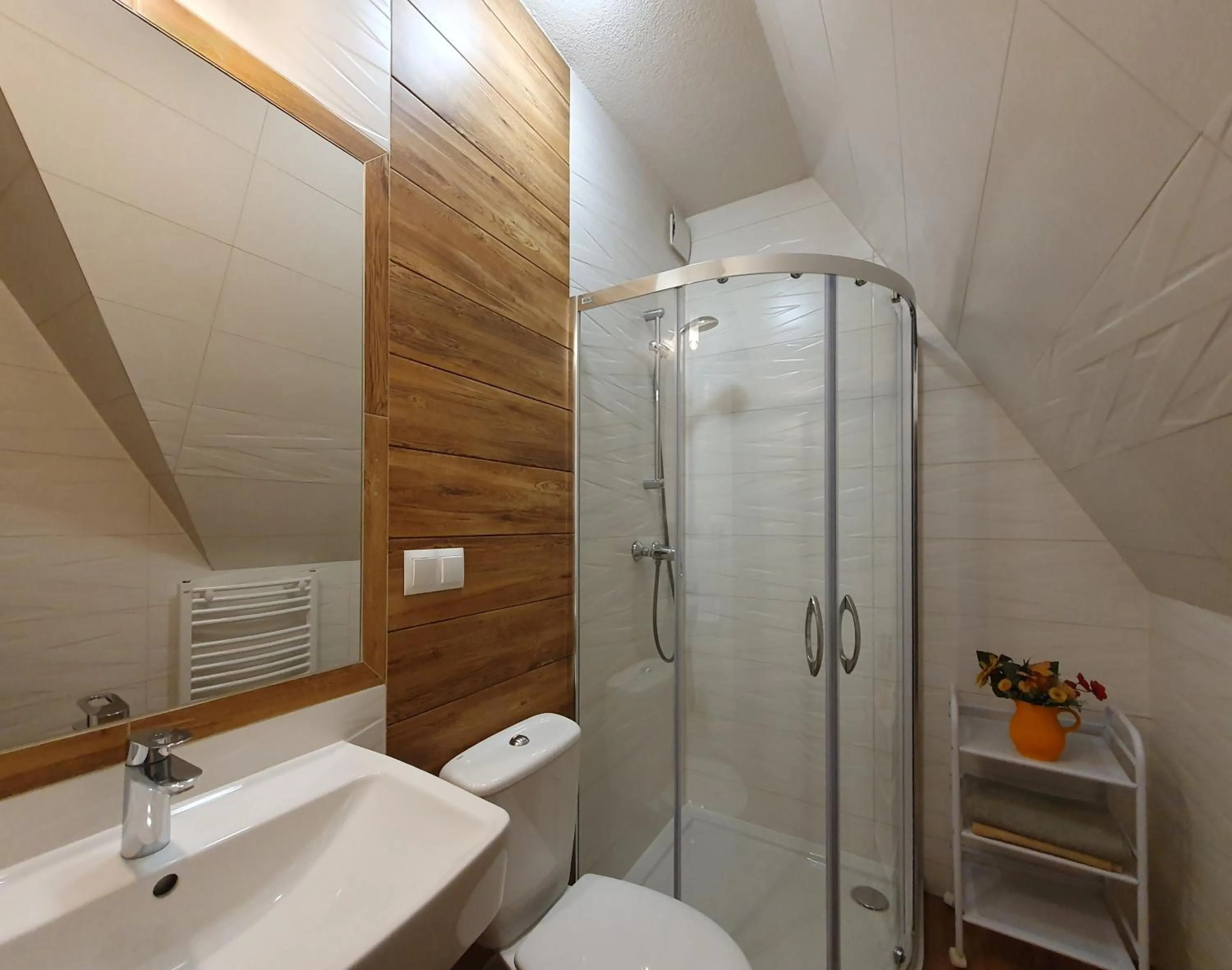 Shower in Pokoje Gościnne Pod Giewontem