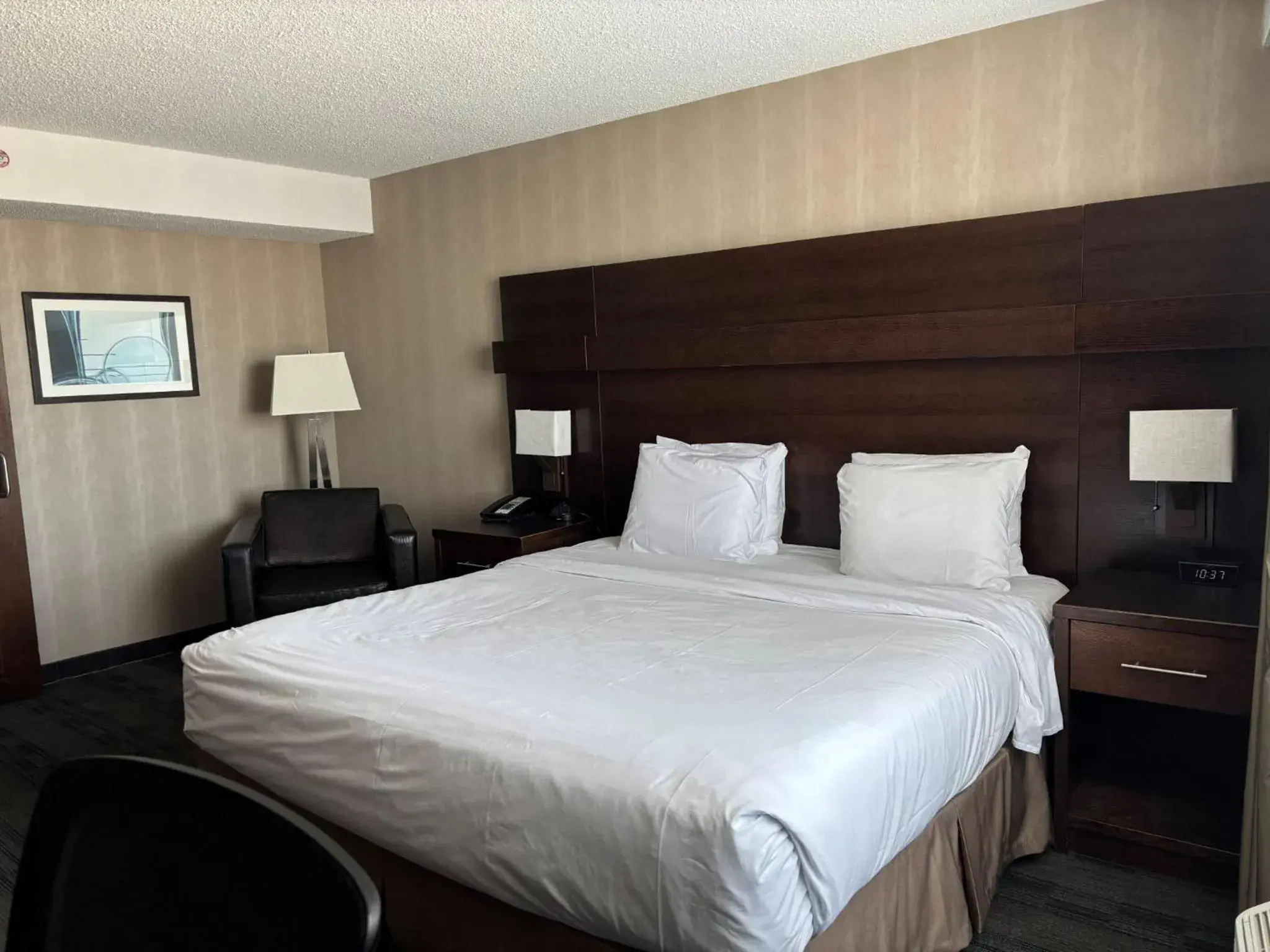 King Suite with City View - Non-smoking in Radisson Hotel Winnipeg Downtown King Suite with City View - Non-smoking in Radisson Hotel Winnipeg Downtown