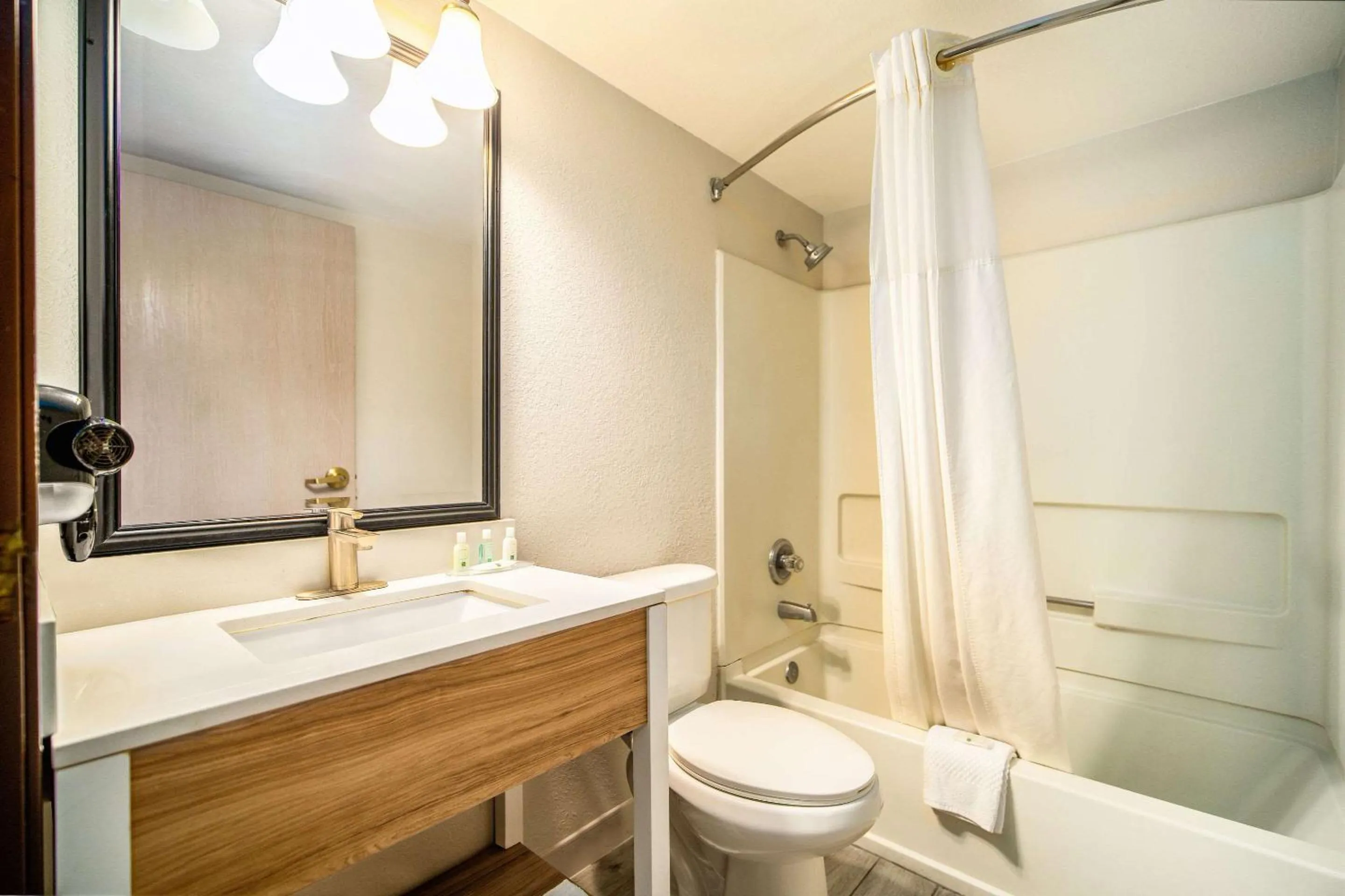 Bedroom in Quality Inn Chandler I-10