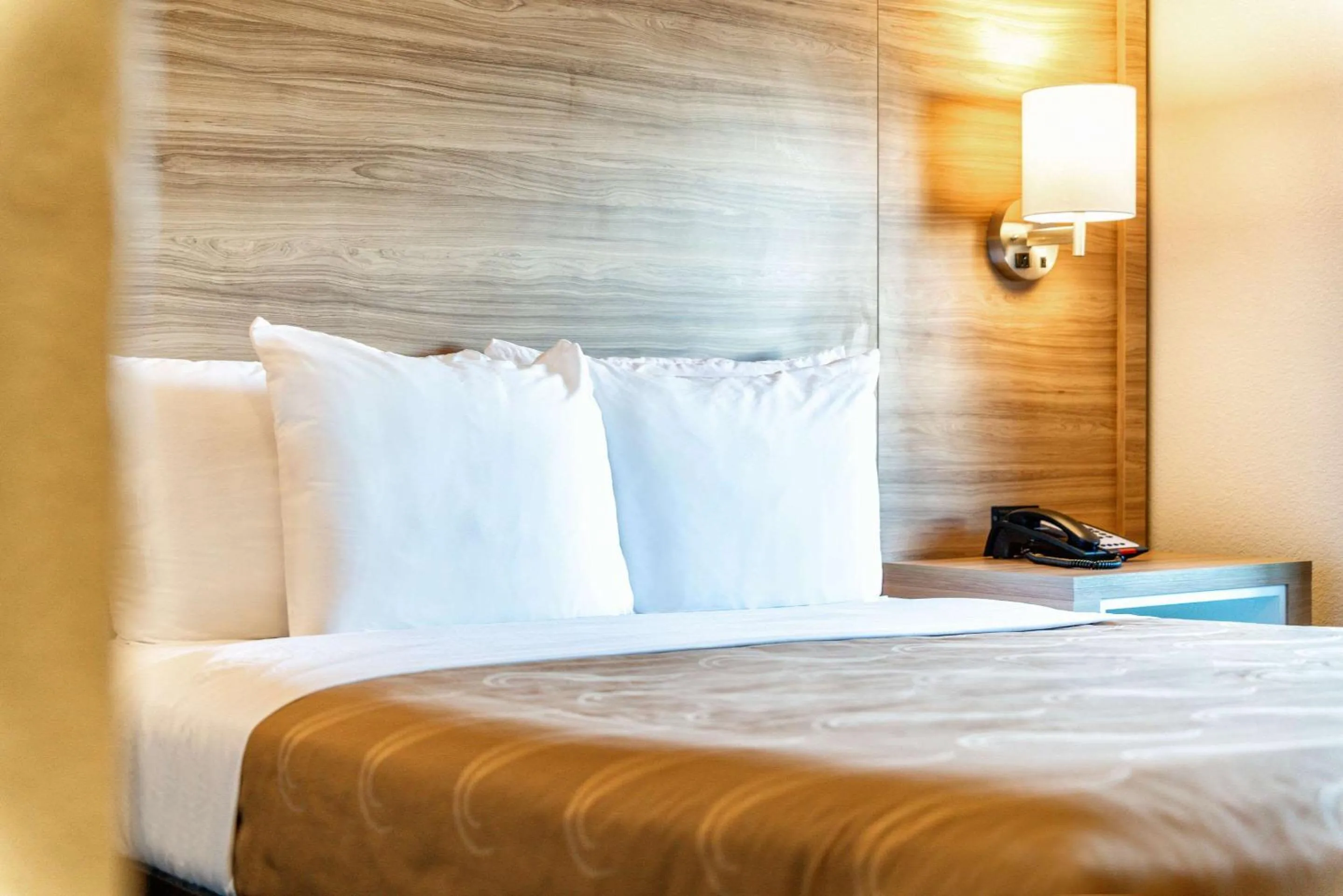 Bedroom in Quality Inn Chandler I-10