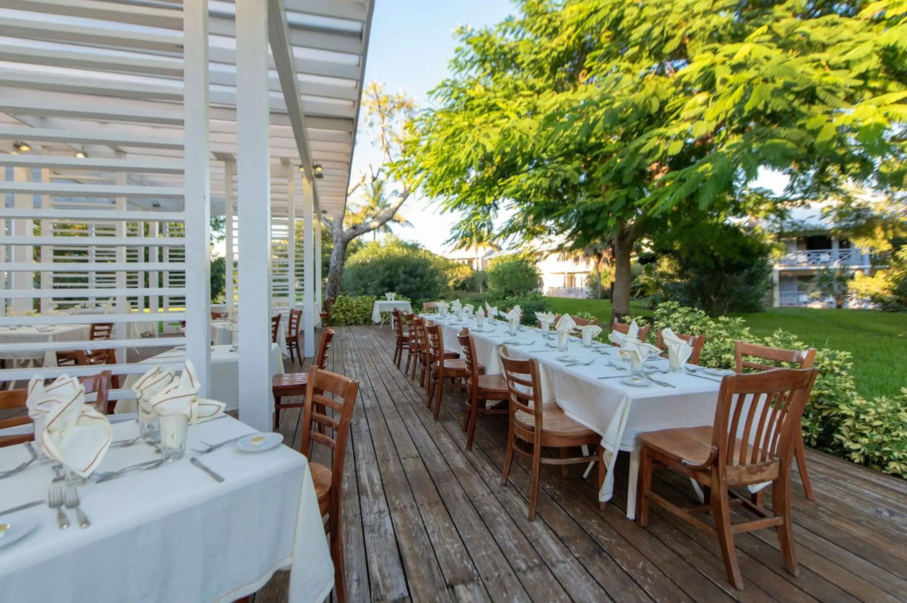 Restaurant/places to eat in Viva Fortuna Beach by Wyndham, A Trademark All Inclusive Restaurant/places to eat in Viva Fortuna Beach by Wyndham, A Trademark All Inclusive