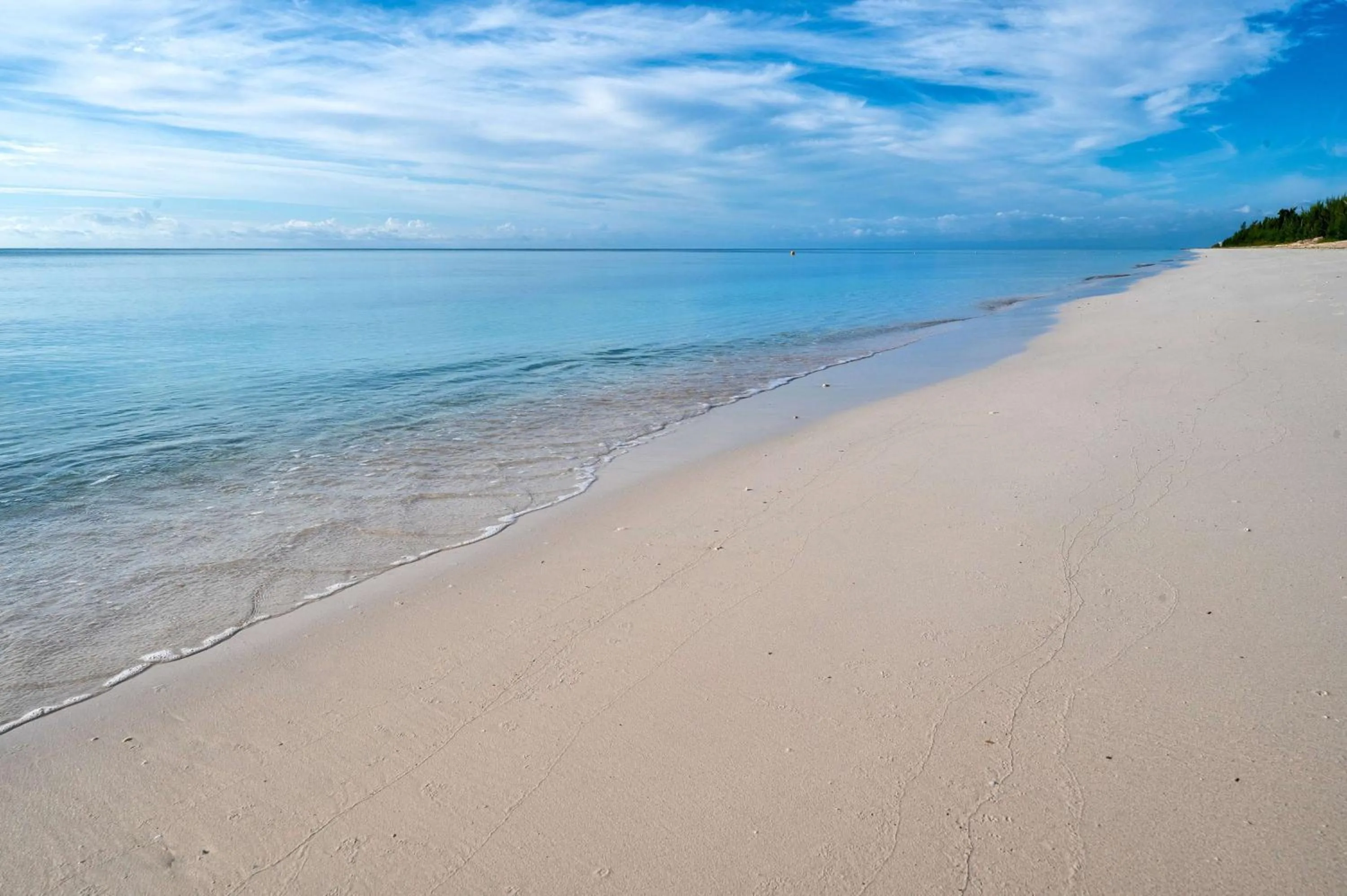 Beach in Viva Fortuna Beach by Wyndham, A Trademark All Inclusive