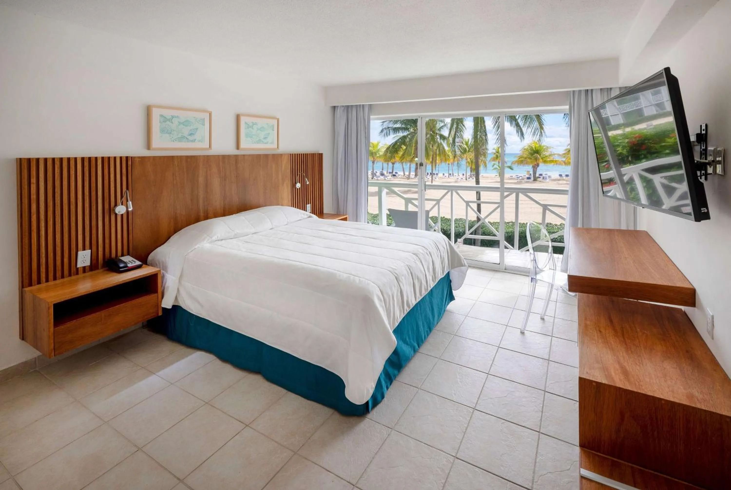 Photo of the whole room, Bed in Viva Fortuna Beach by Wyndham, A Trademark All Inclusive