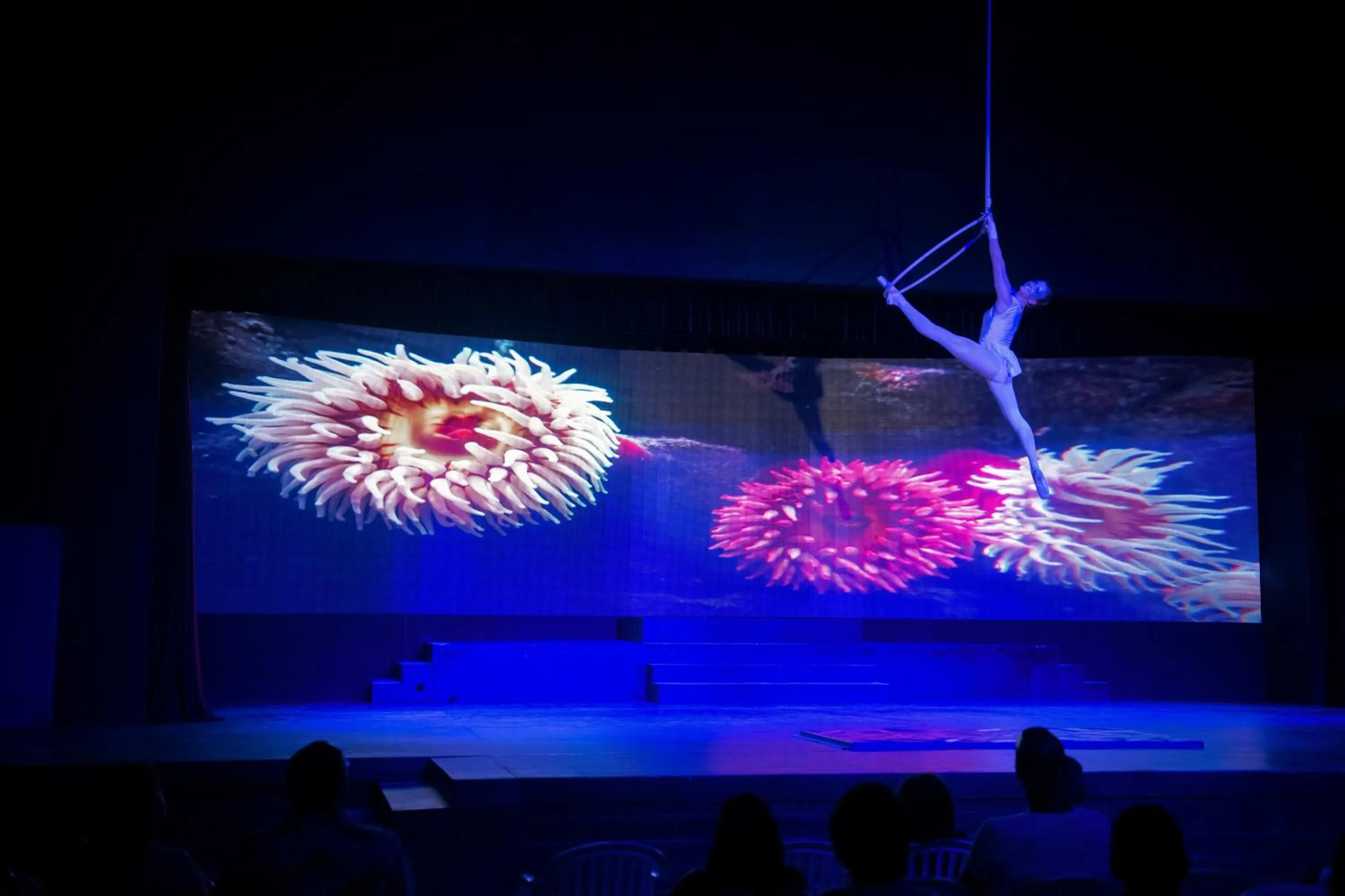 Activities in Viva Fortuna Beach by Wyndham, A Trademark All Inclusive