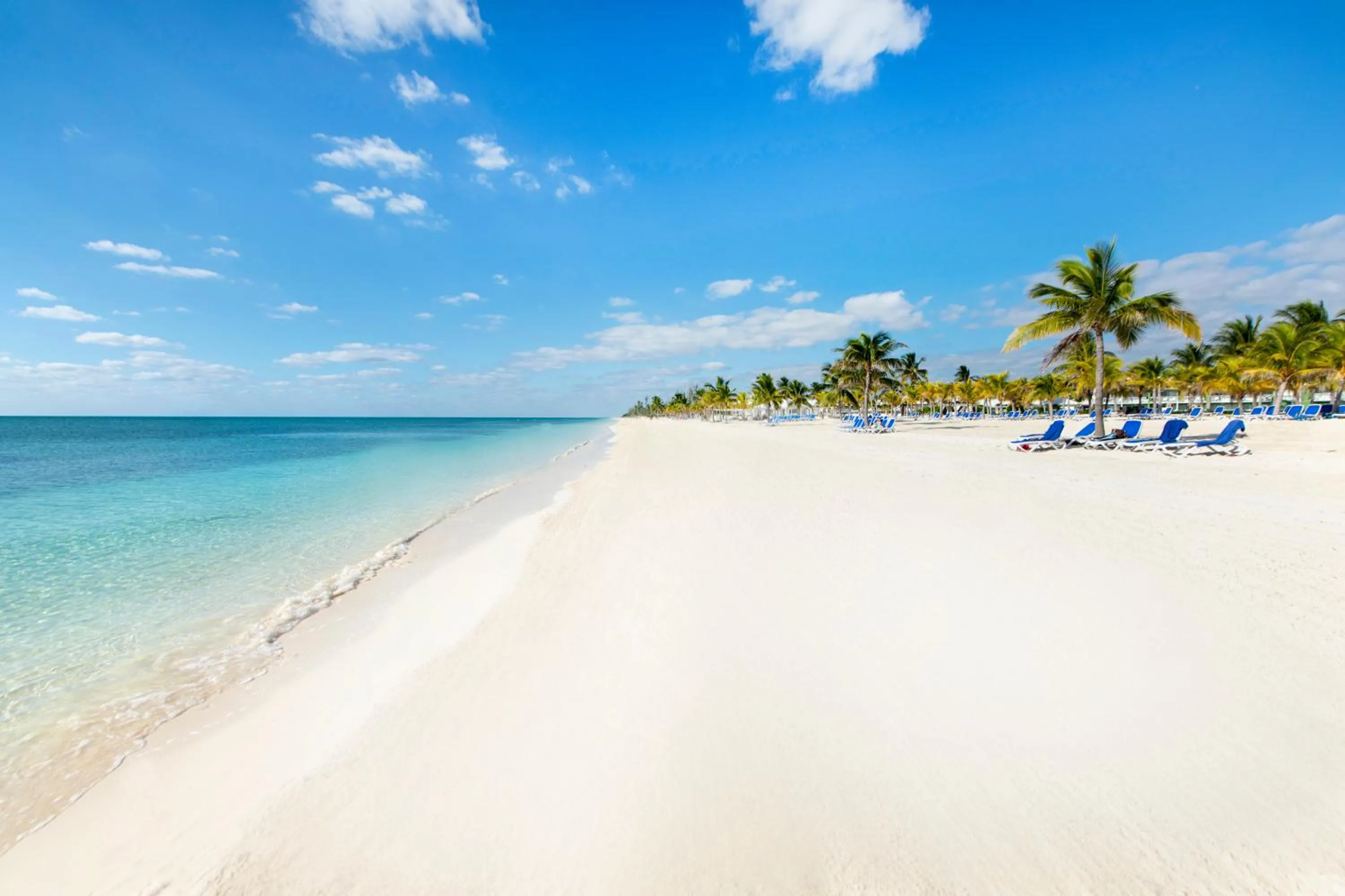 Beach in Viva Fortuna Beach by Wyndham, A Trademark All Inclusive