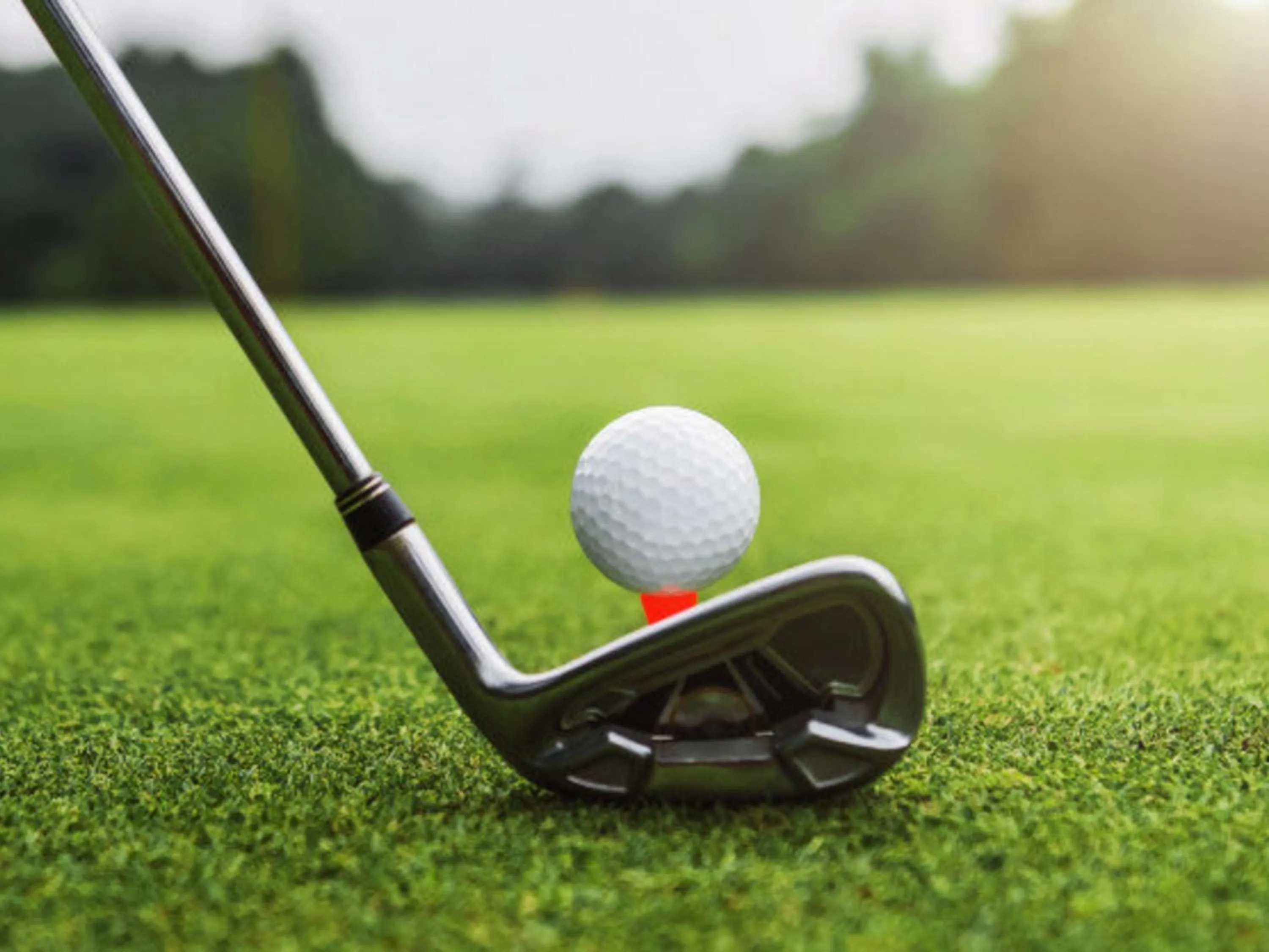 Golfcourse in Holiday Inn Express & Suites - Summerville by IHG