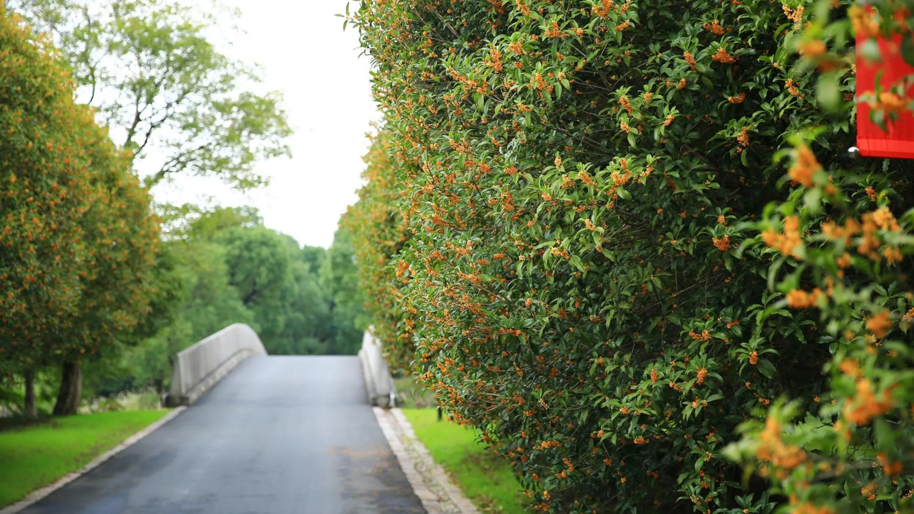 Other in Holiday Inn Kunshan Huaqiao by IHG