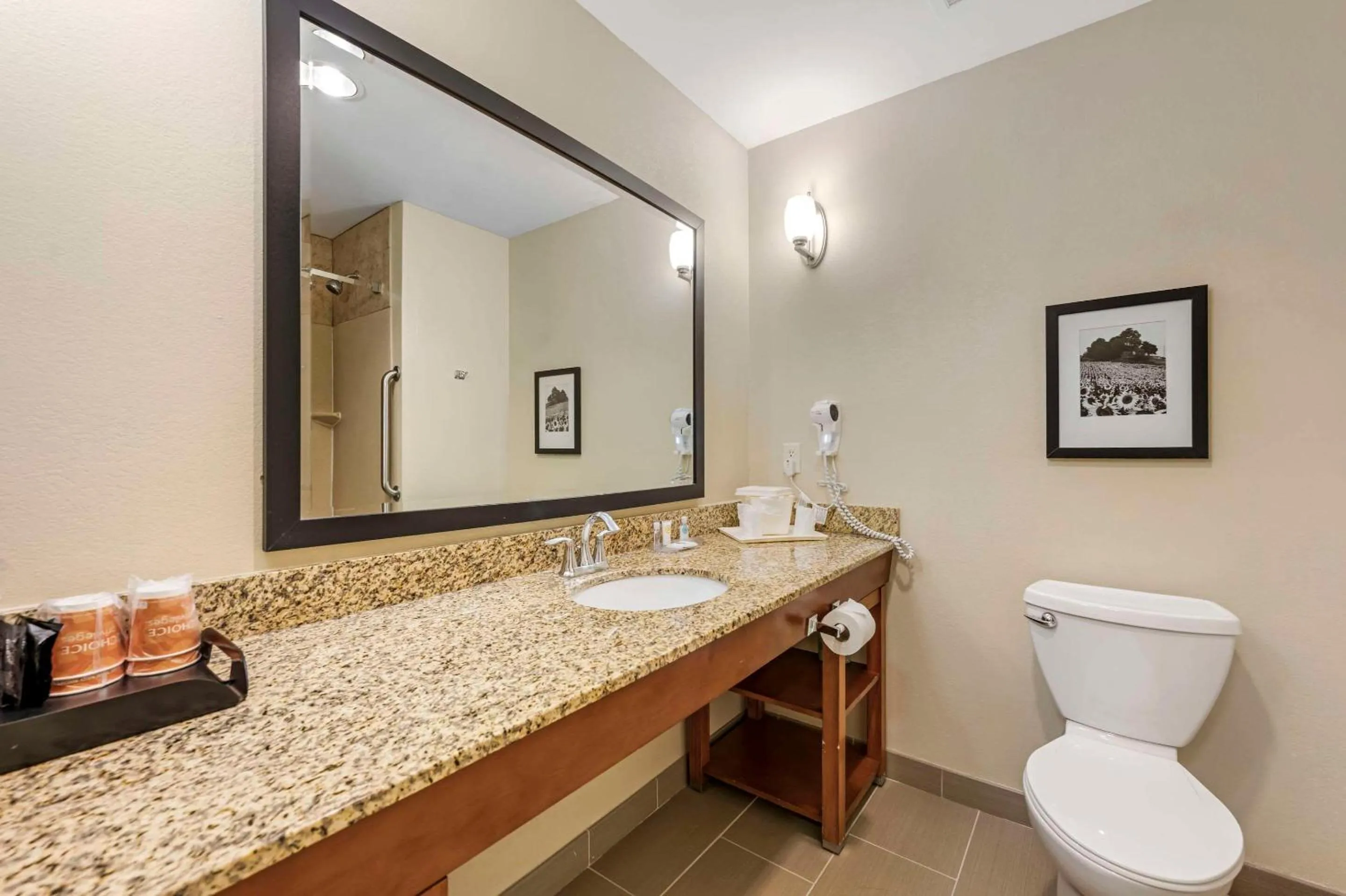 Bedroom in Comfort Suites East Lincoln - Mall Area