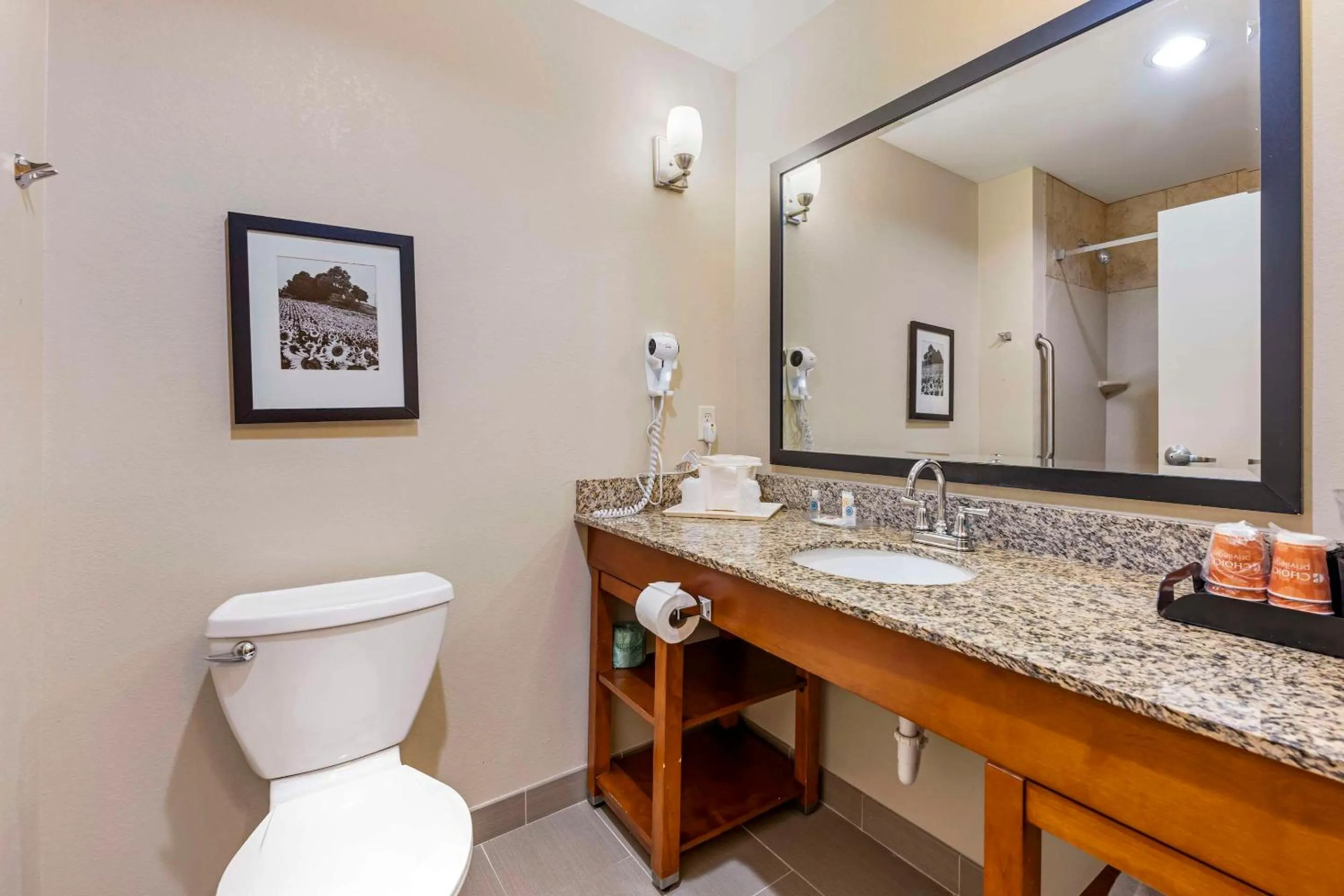 Bedroom in Comfort Suites East Lincoln - Mall Area