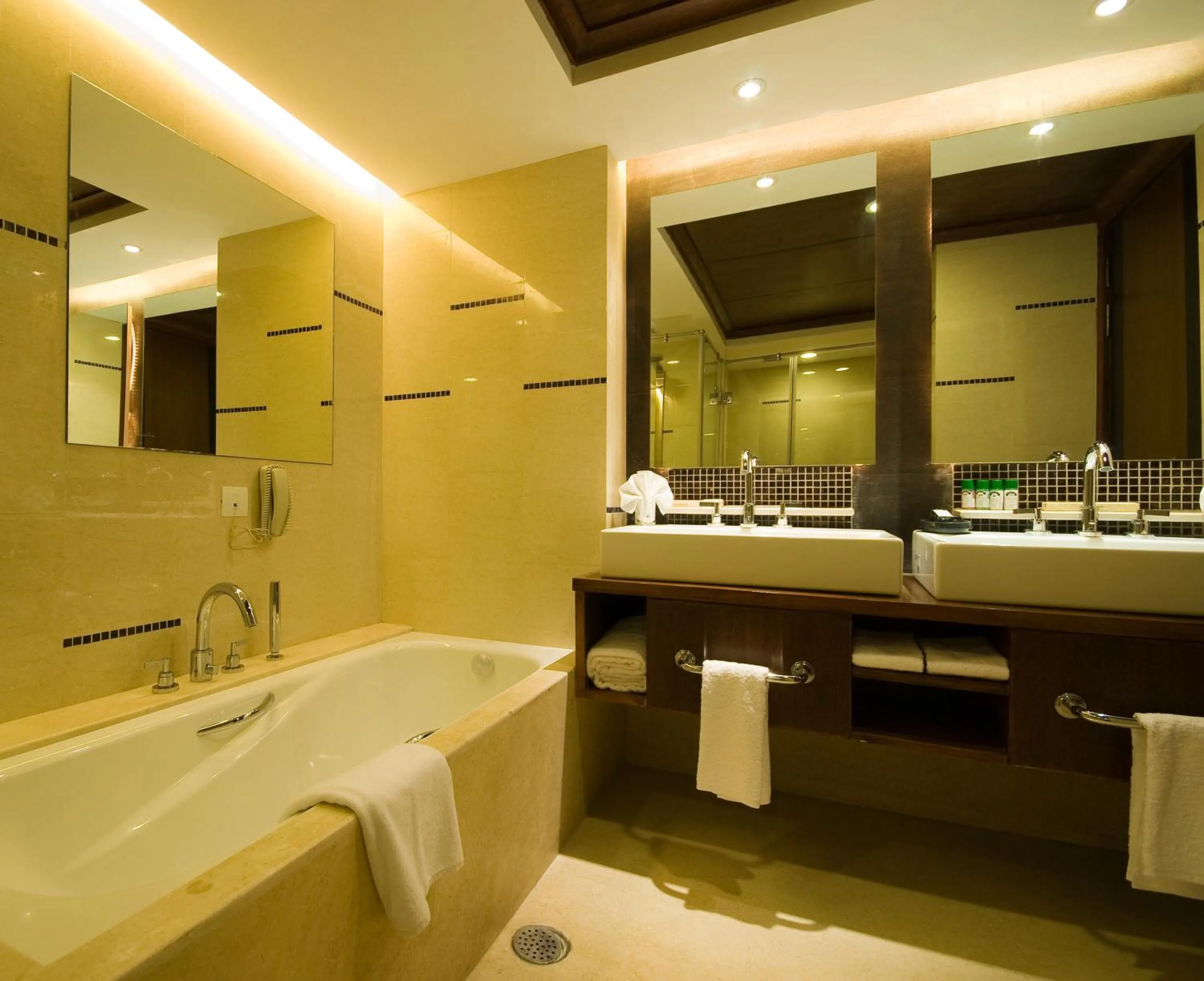 Shower in The Fern, Jaipur