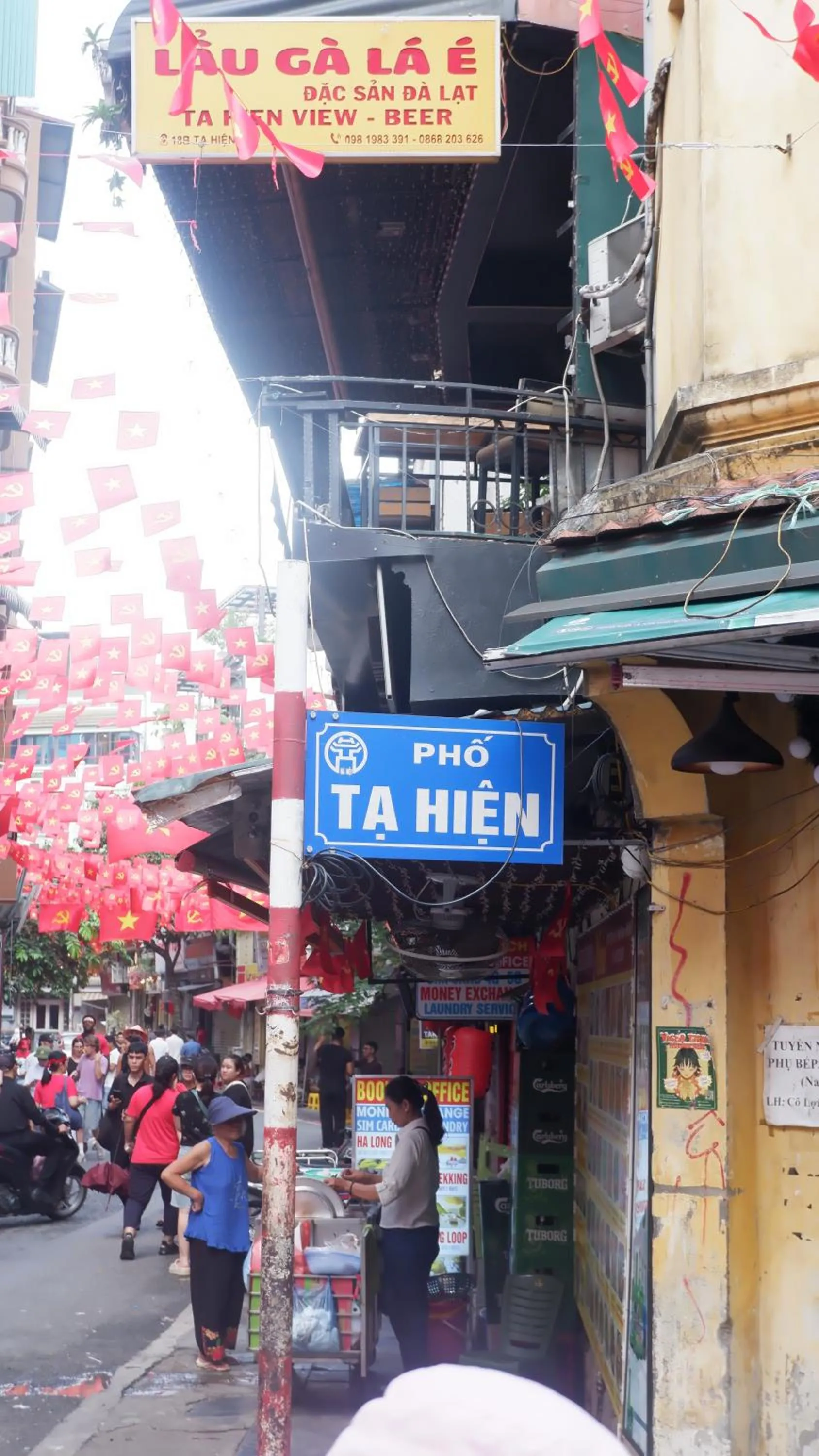 Windsurfing in Group Nest Hotel