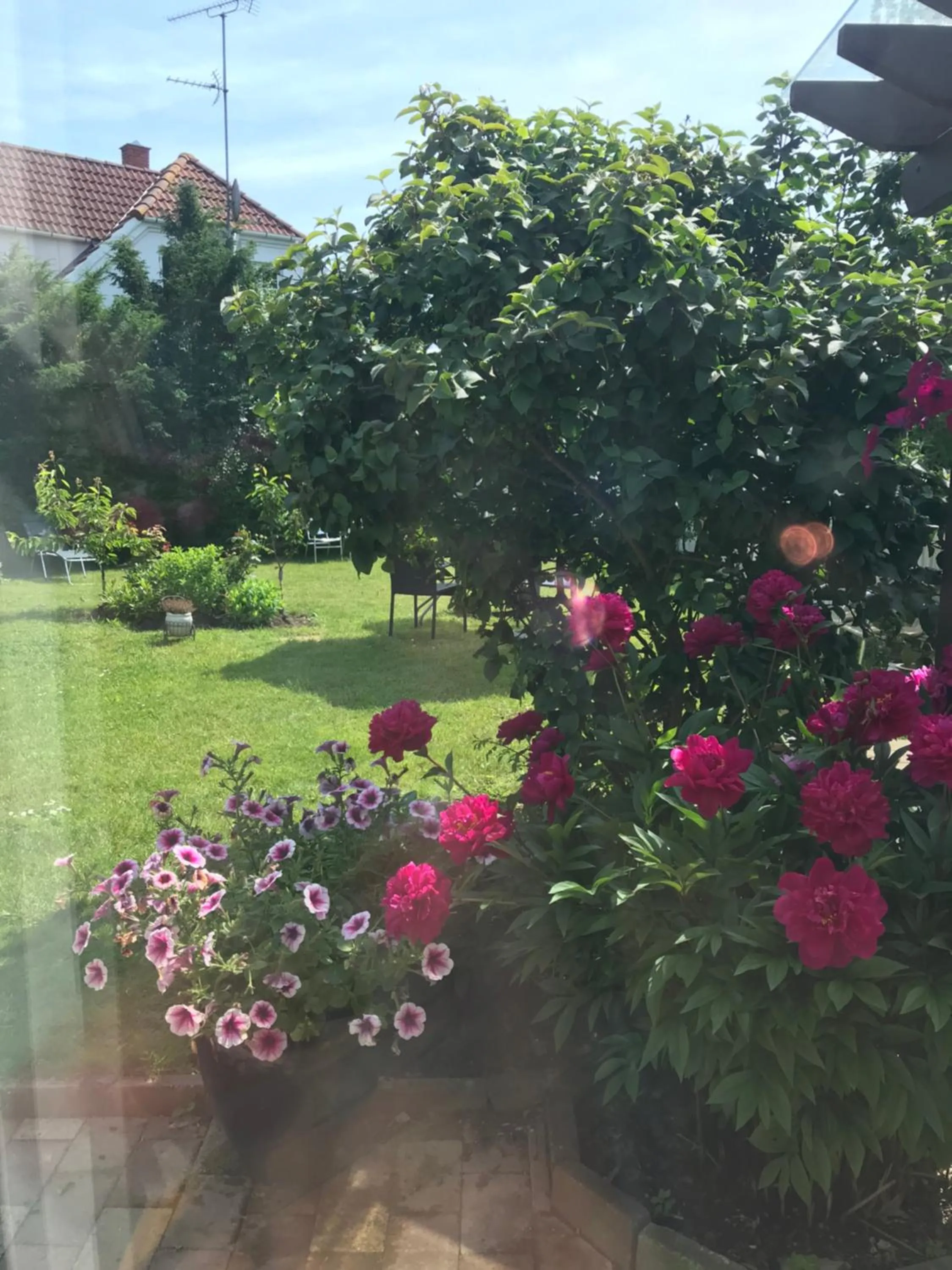 Dadas Bed & Breakfast