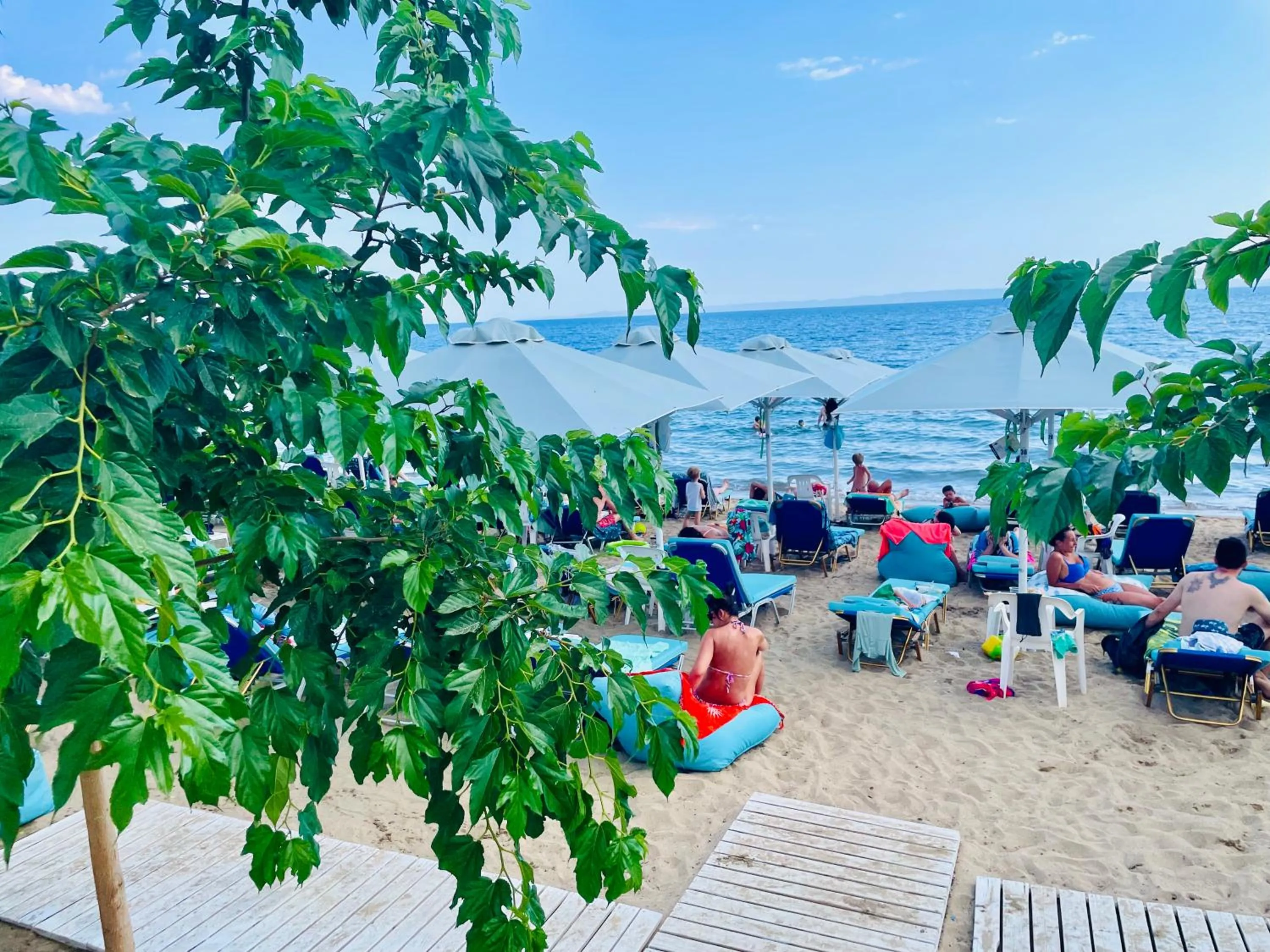 Beach in Melissa Gold Coast