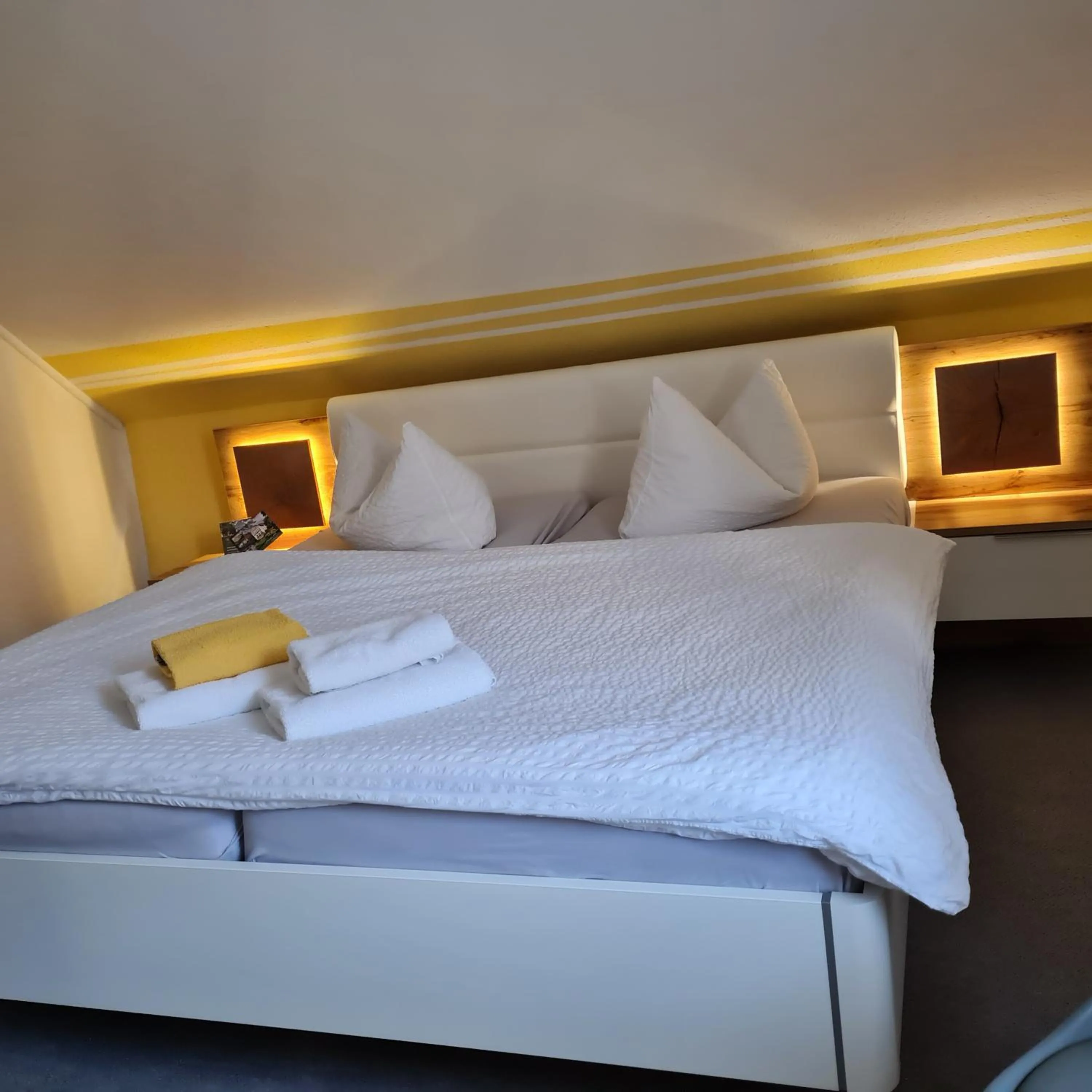 Double Room - single occupancy in Pension Schmidt