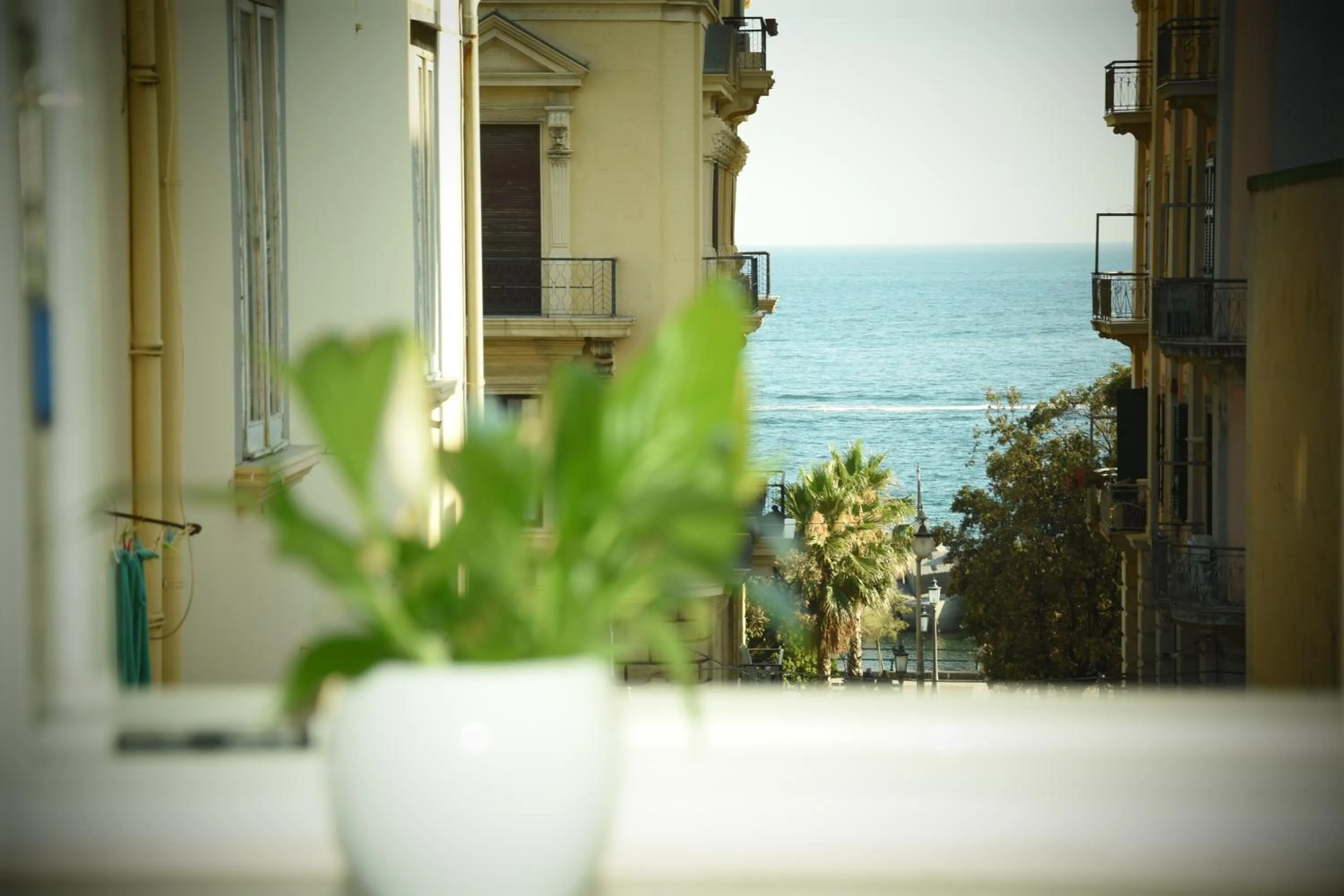 Sea view in 360 Hospitality