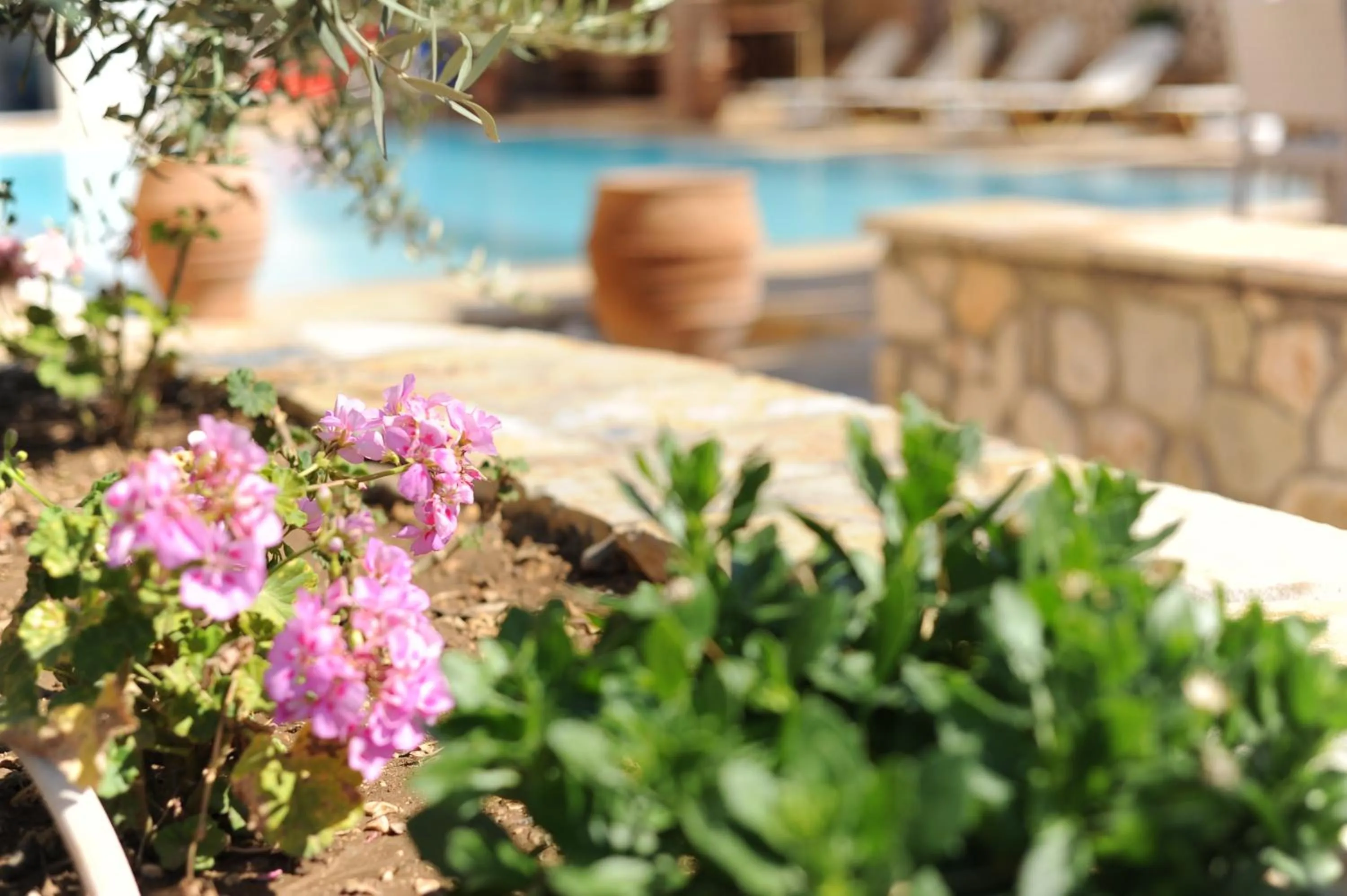 Day in Villa Vita Holidays