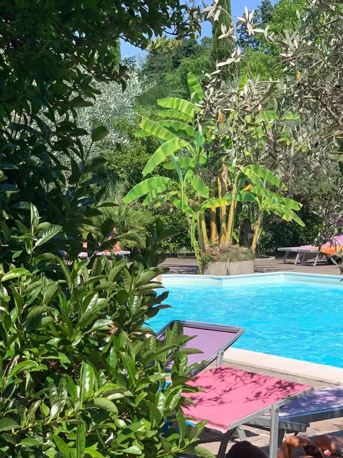 Pool view in Veio Residence Resort Pool view in Veio Residence Resort