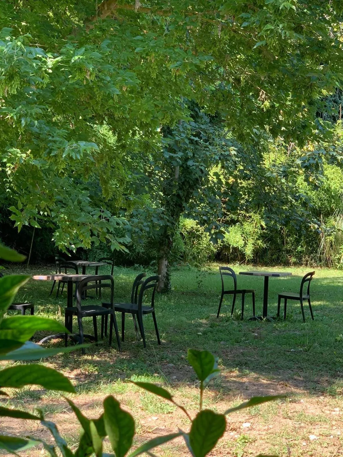 Natural landscape in Veio Residence Resort