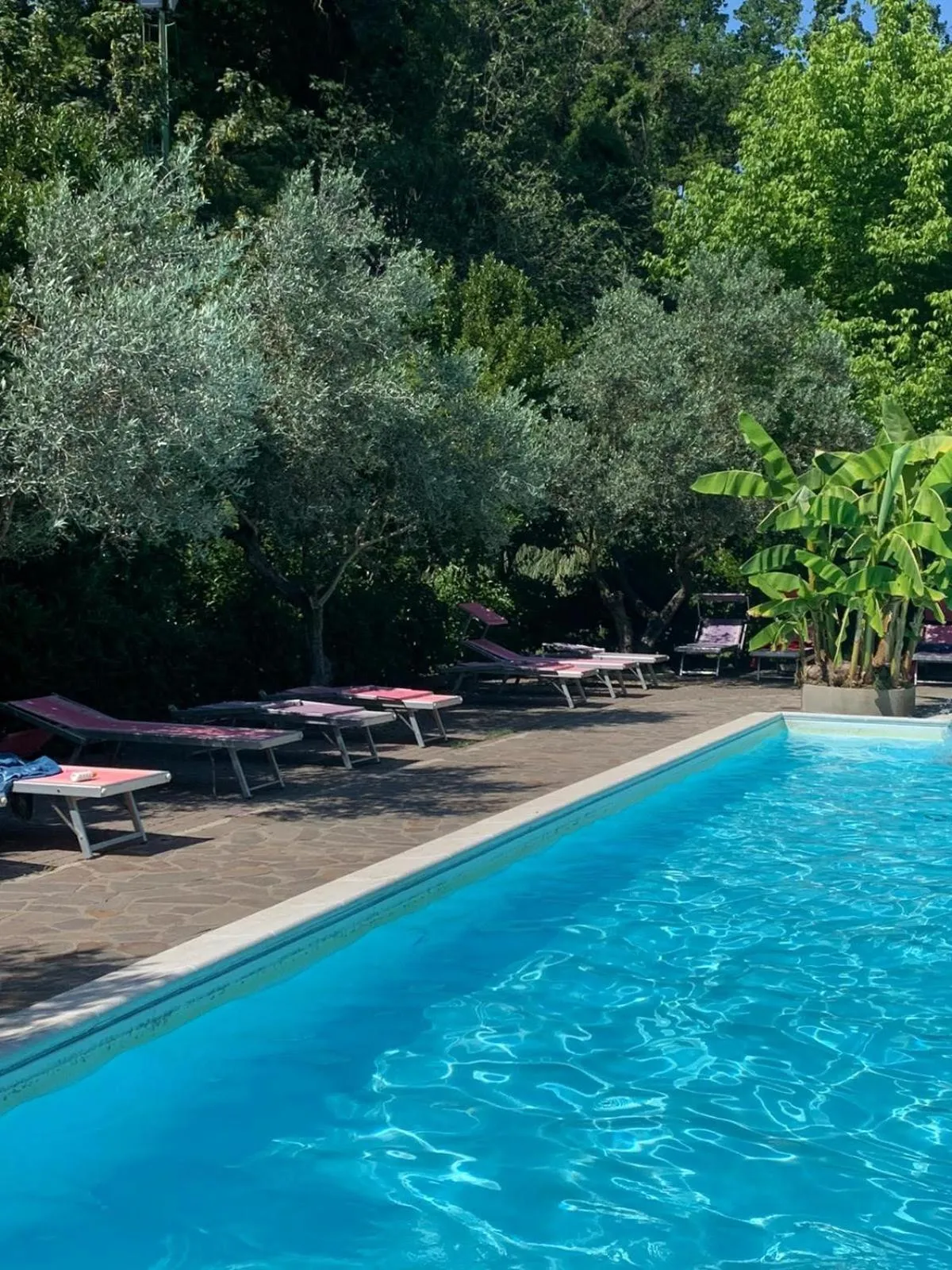 Pool view in Veio Residence Resort