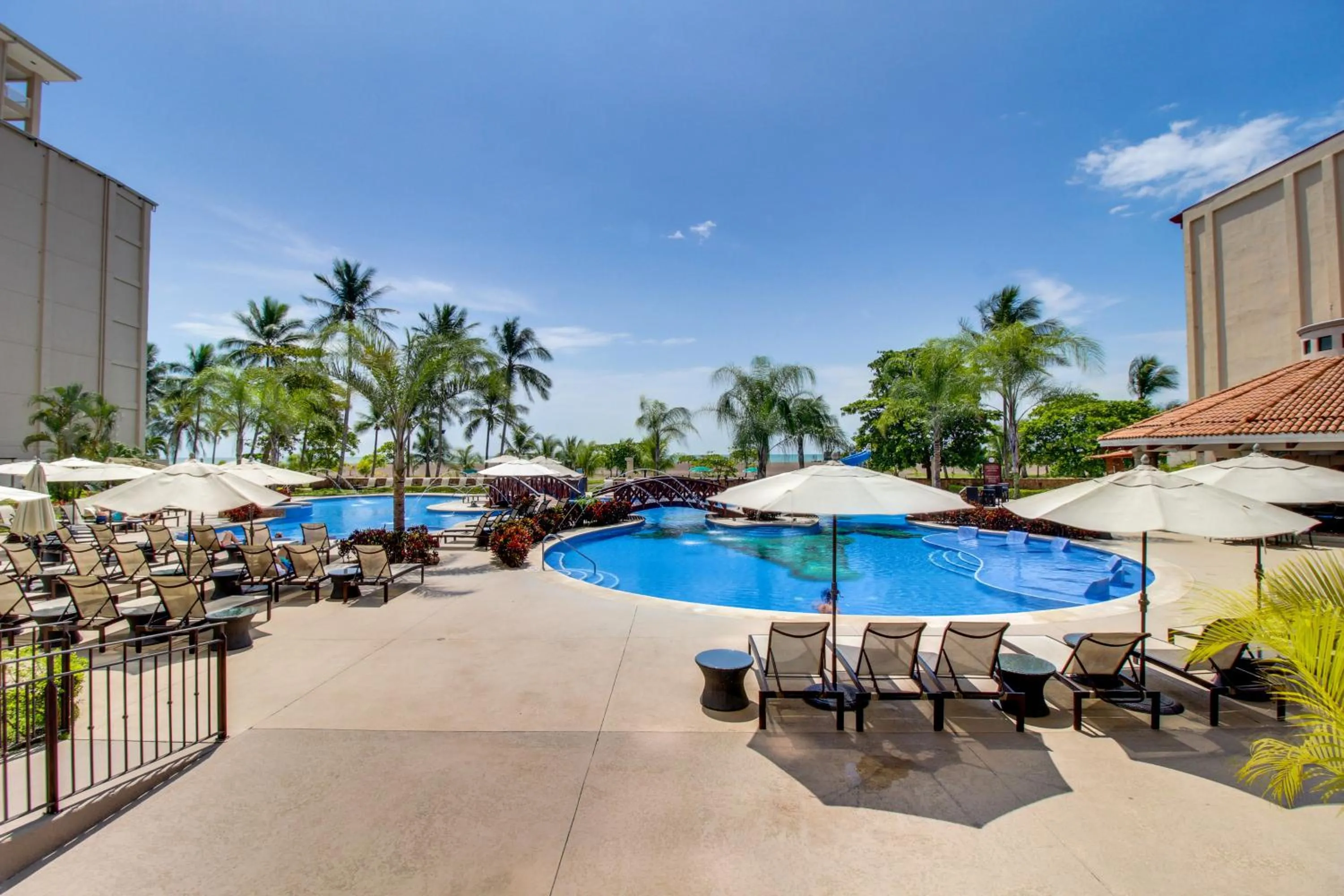 The Palms 101