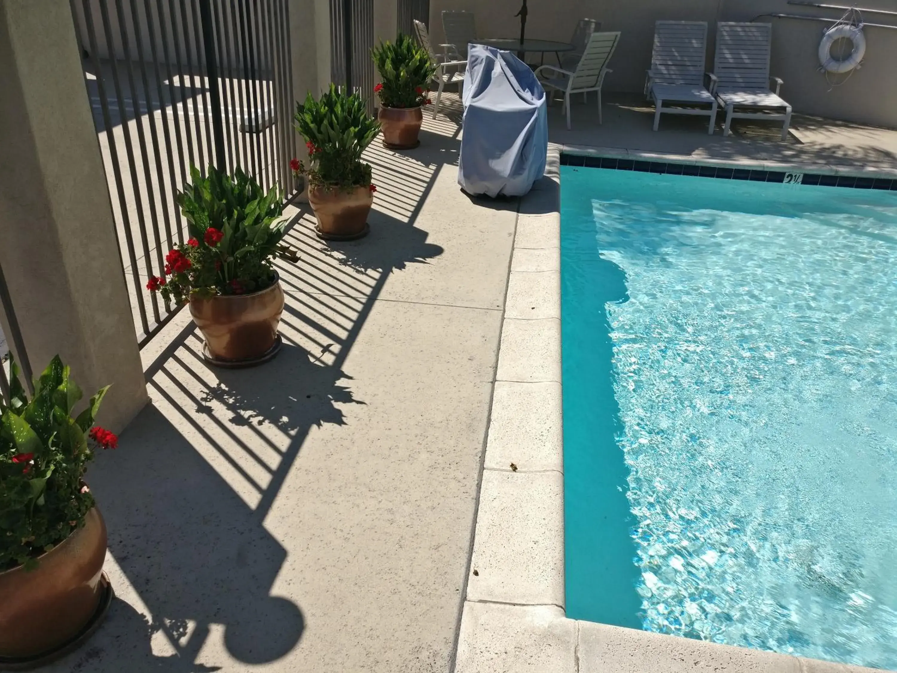 Pool view in Burbank Inn and Suites Pool view in Burbank Inn and Suites