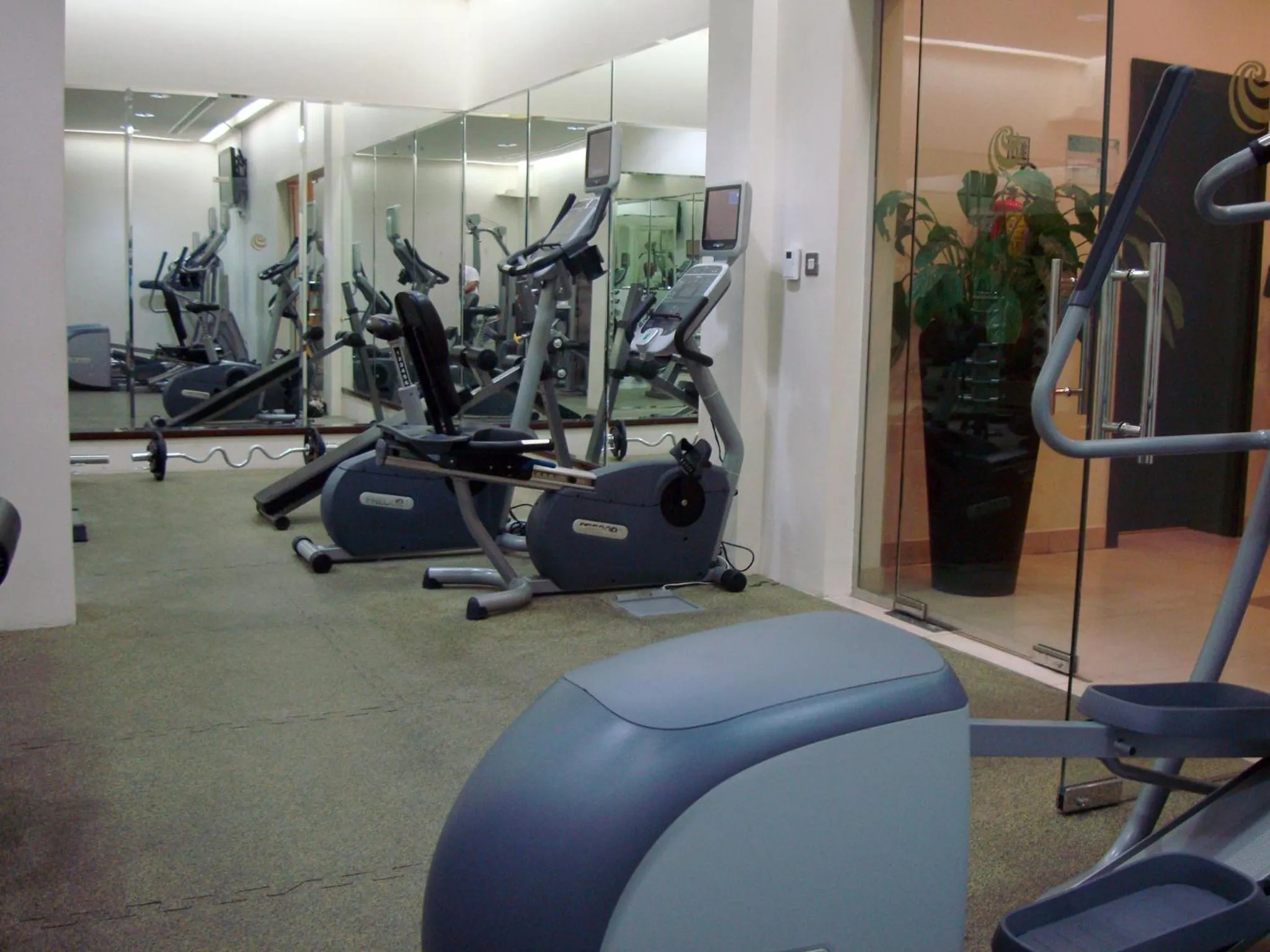 Fitness centre/facilities in Safir Hotel Doha