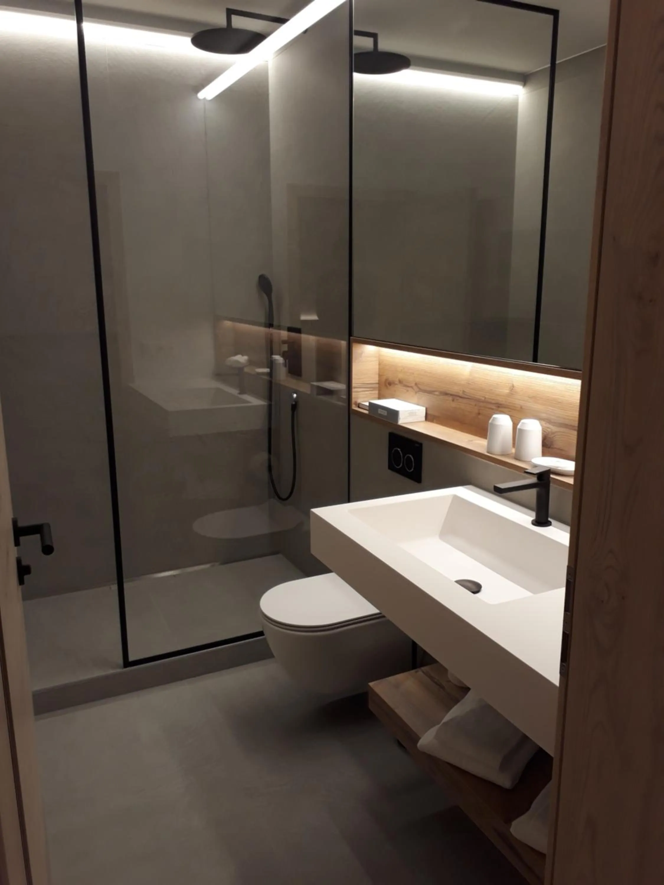 Toilet in Hotel Schweizerhof