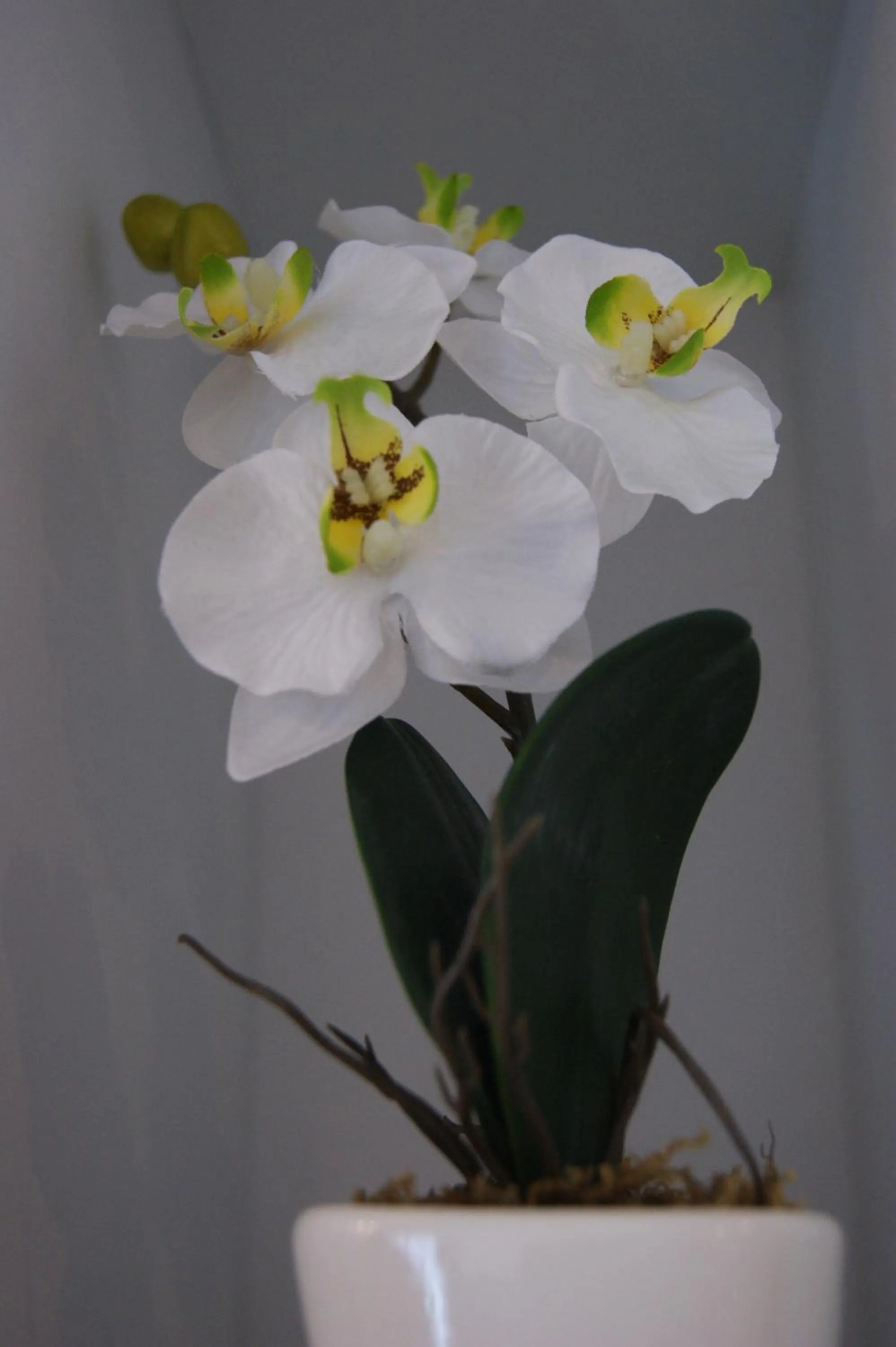 Decorative detail in Hotel Schweizerhof