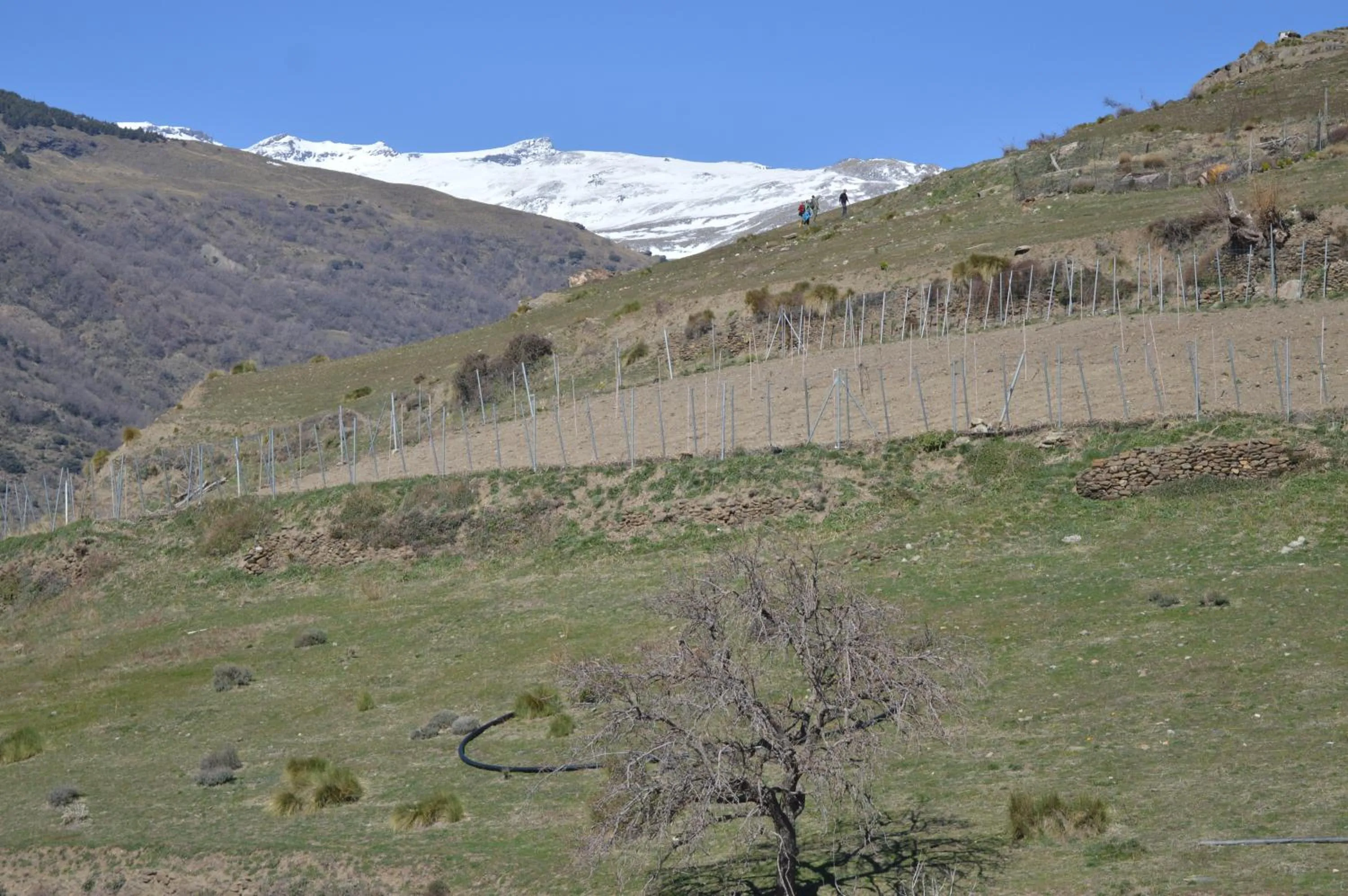 Natural landscape in Hotel Rural Alfajía de Antonio