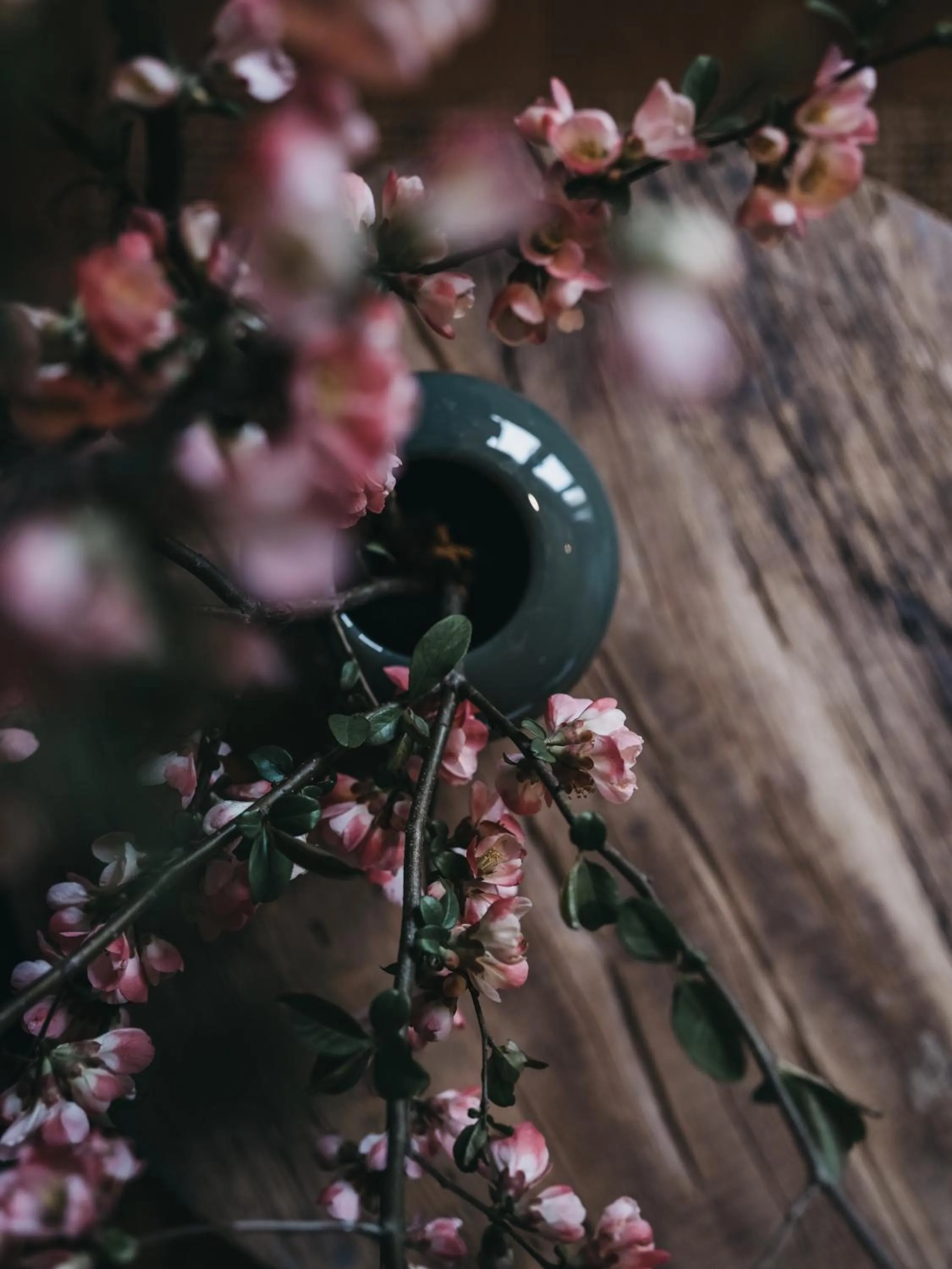 Decorative detail in VAYA Zillertal