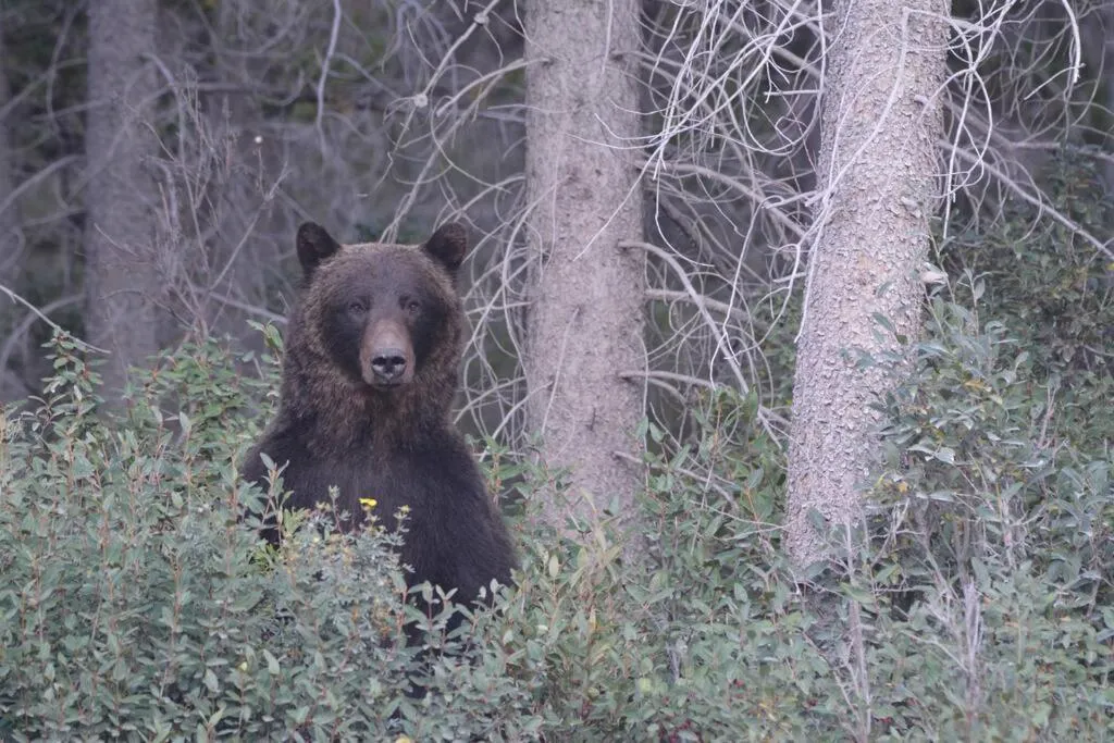 Mountain View Escape with open hot tub, Views!!