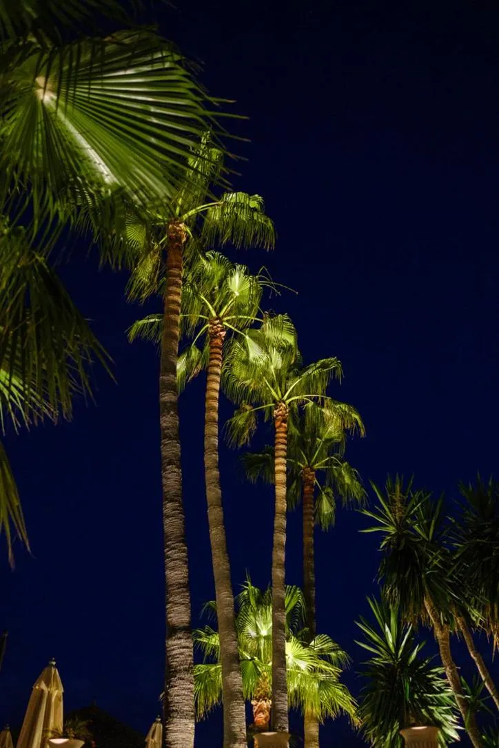 Night in La Moraleja The Quiet Hotel - Adults Only