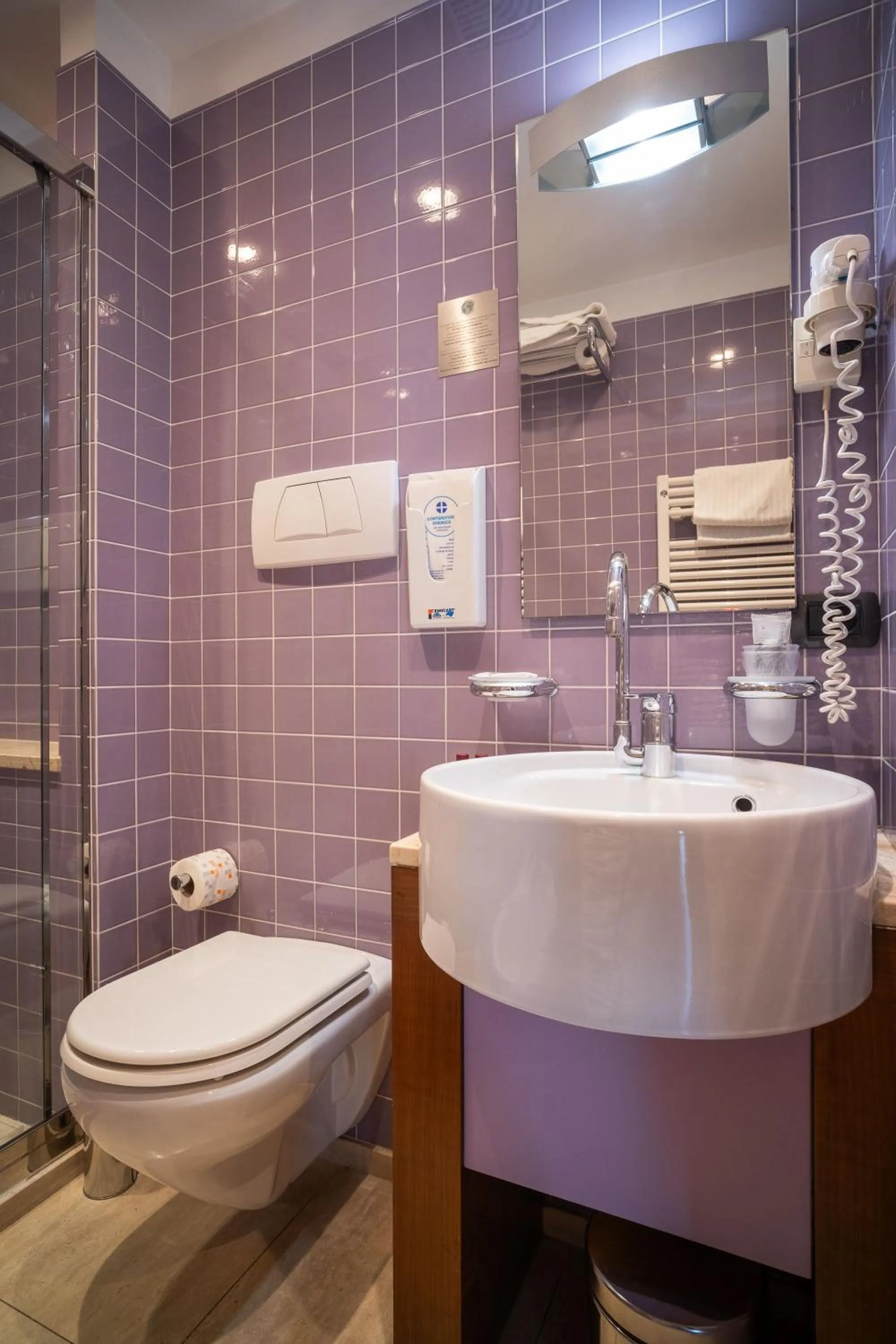 Bathroom in Hotel Rosa