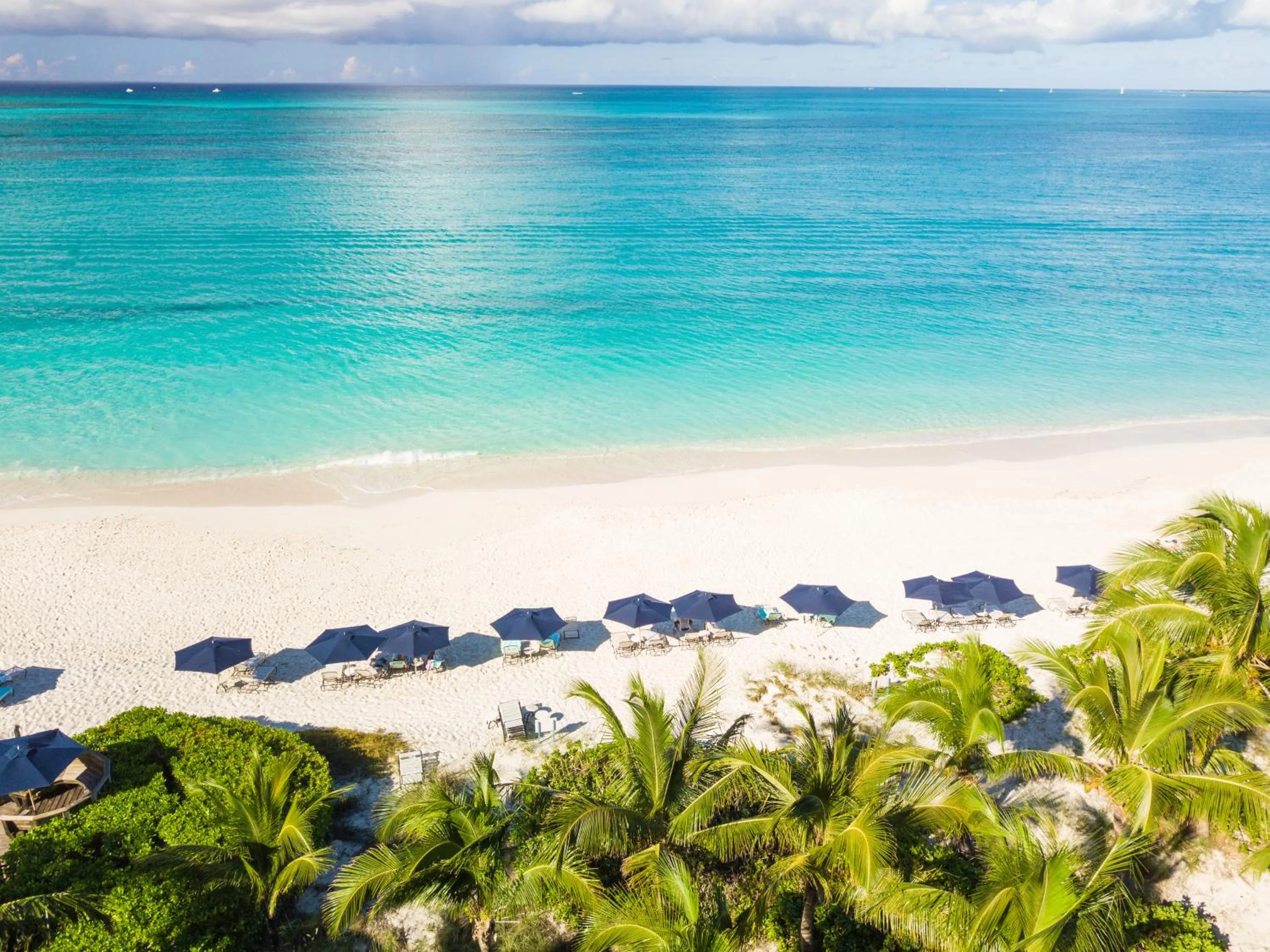 Beach in The Regent Grand