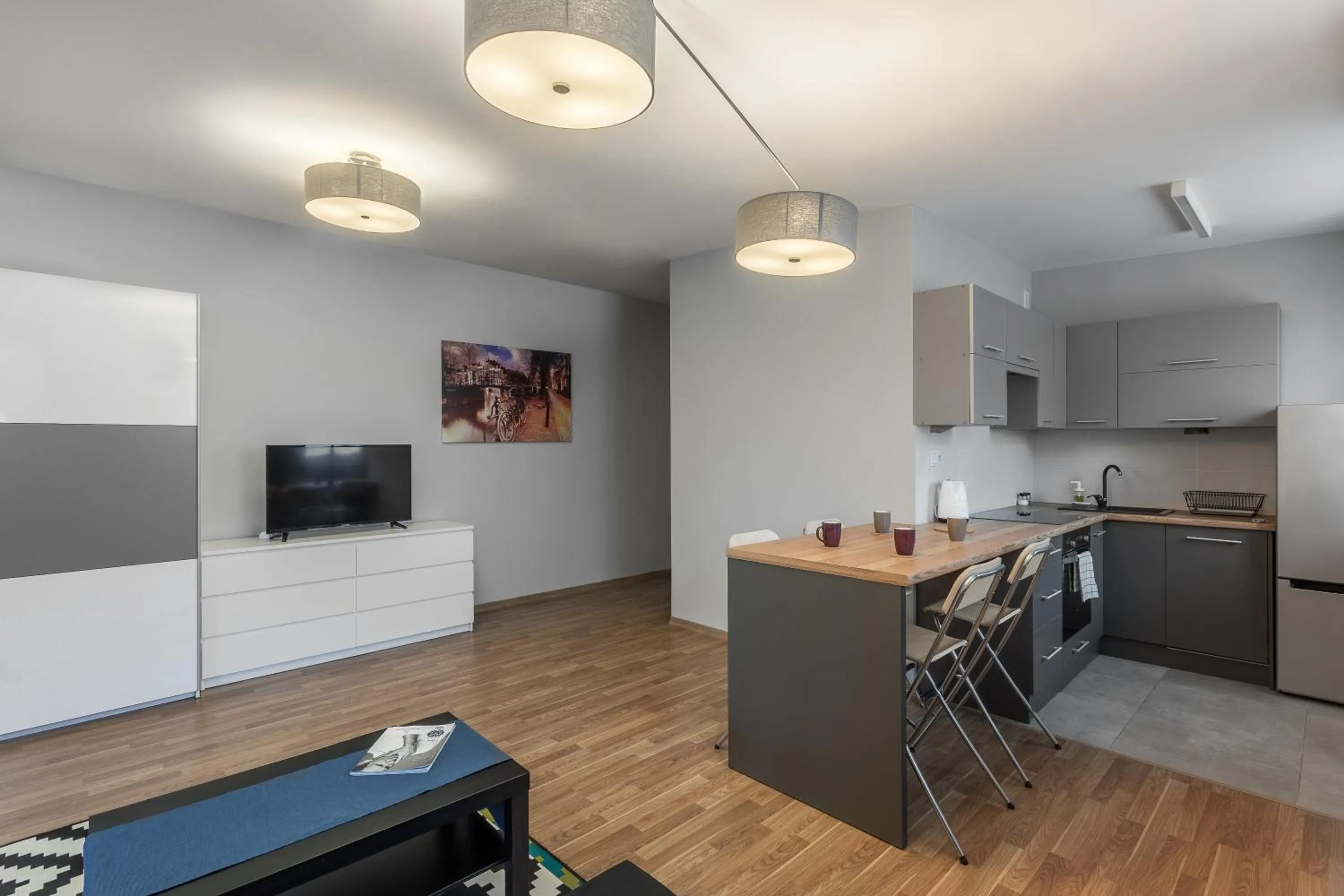 Kitchen or kitchenette in Apartamenty Centrum Częstochowa Stara Kamienica