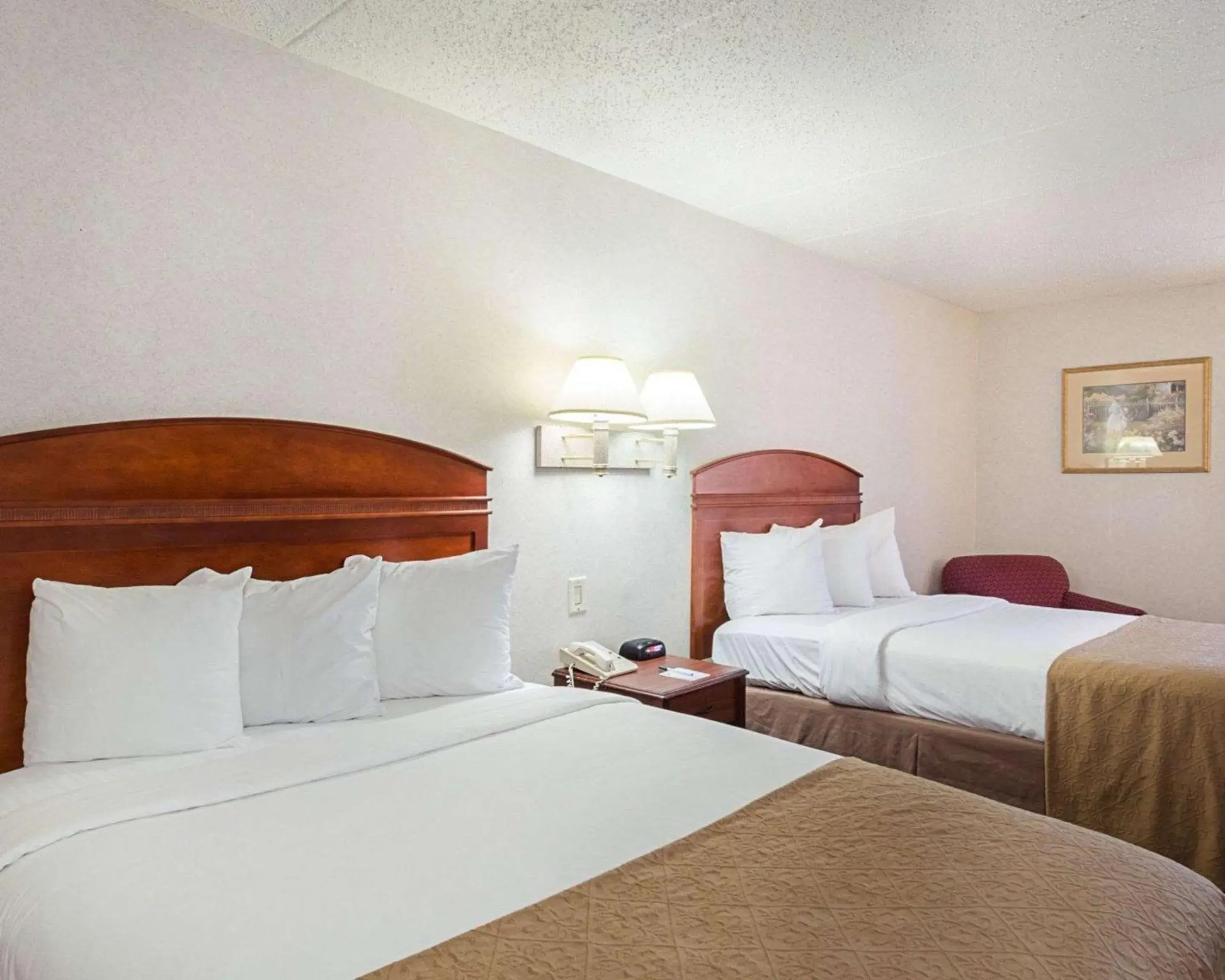 Photo of the whole room, Bed in Quality Inn & Suites Worcester
