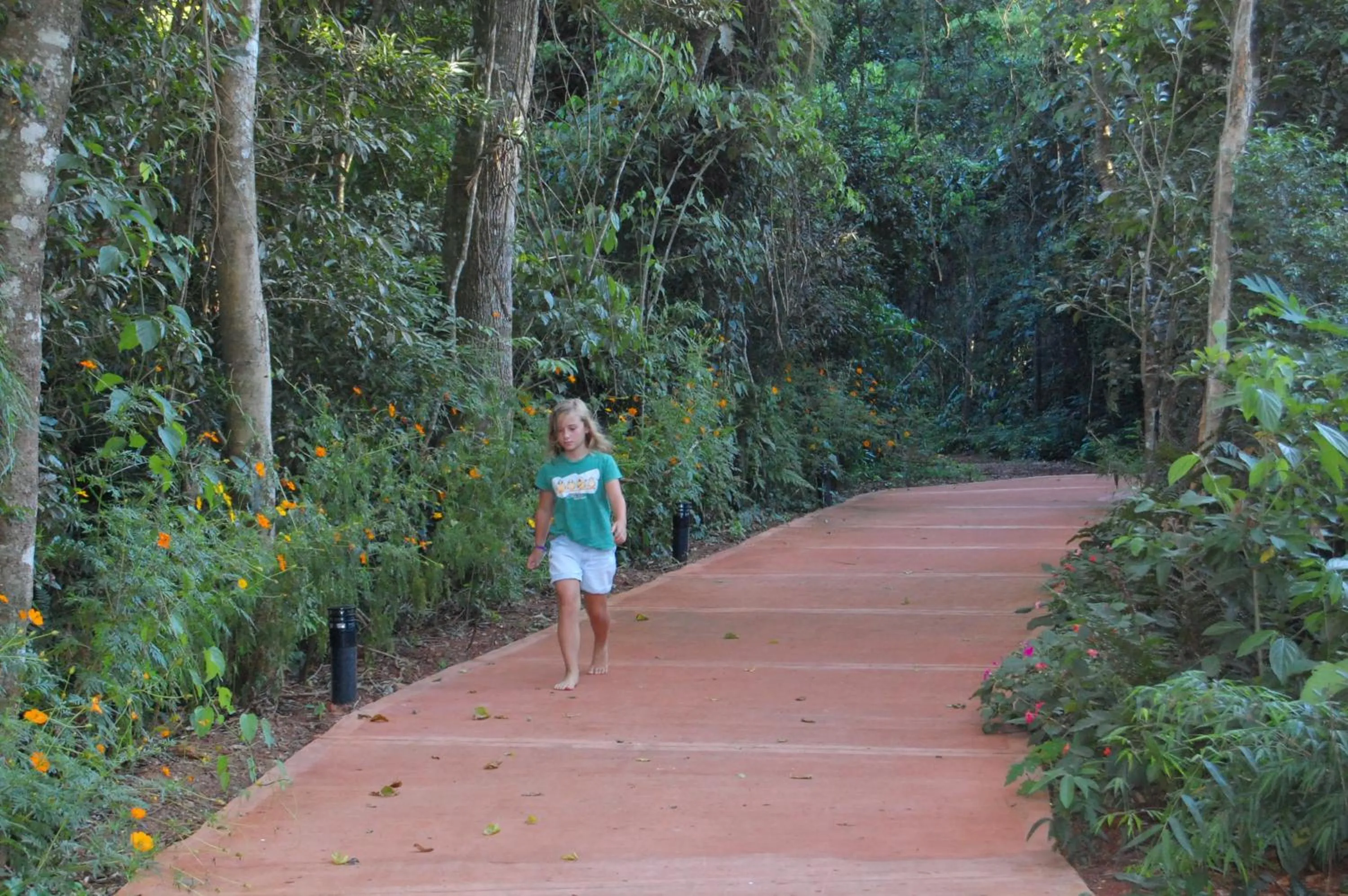 Garden in Hotel Sol Cataratas