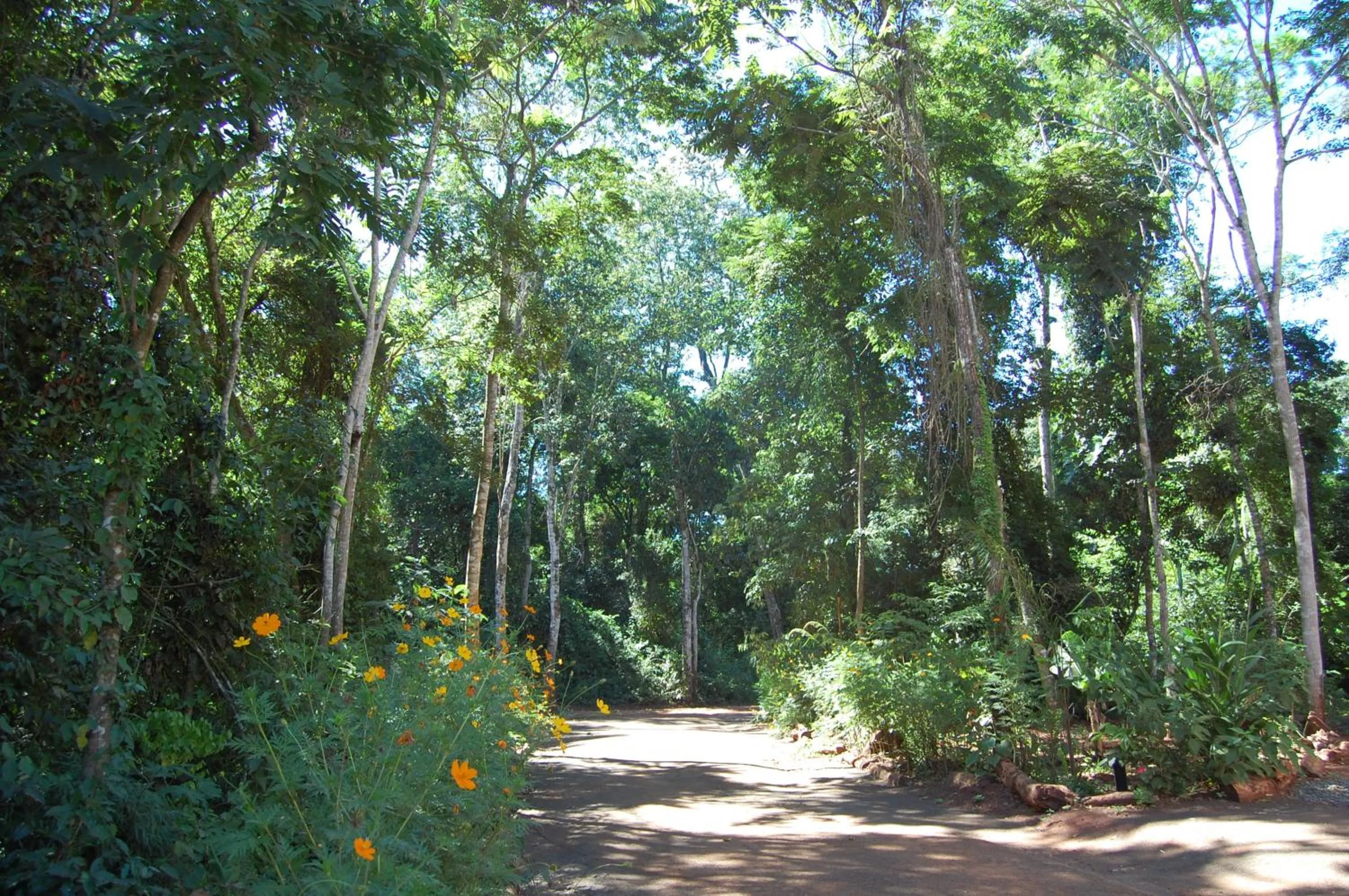 Garden in Hotel Sol Cataratas