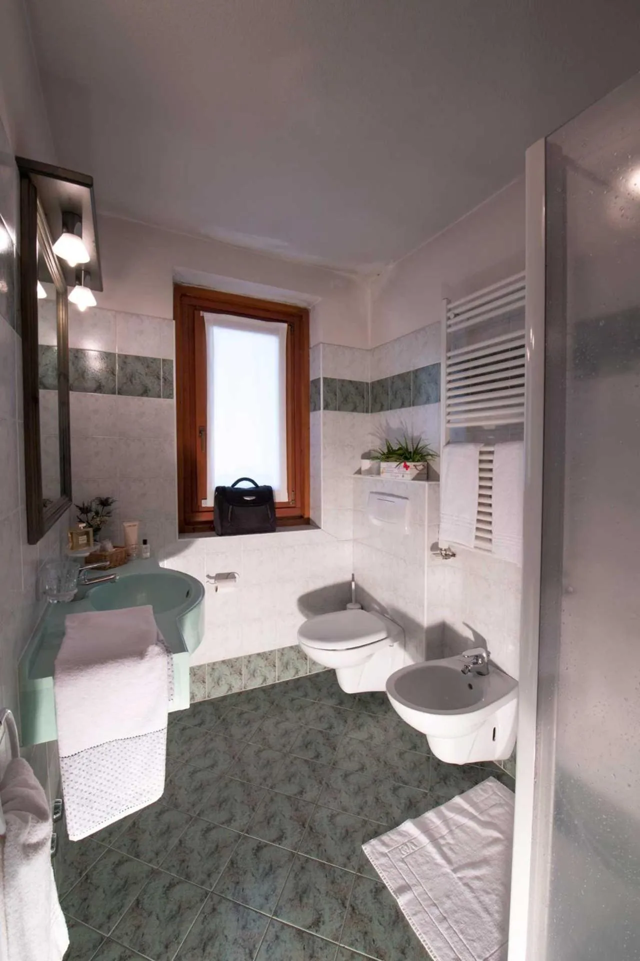 Bathroom in Hotel Alpina