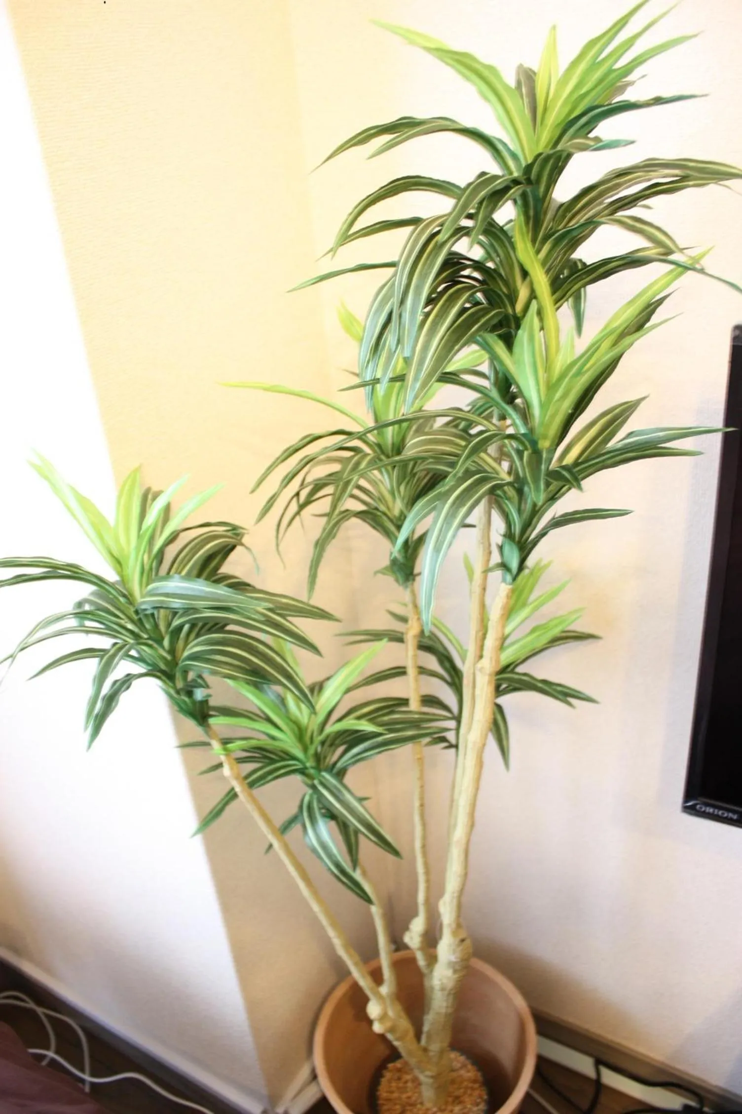 Forest Inn Fukuoka -previously Pure Tenjin-