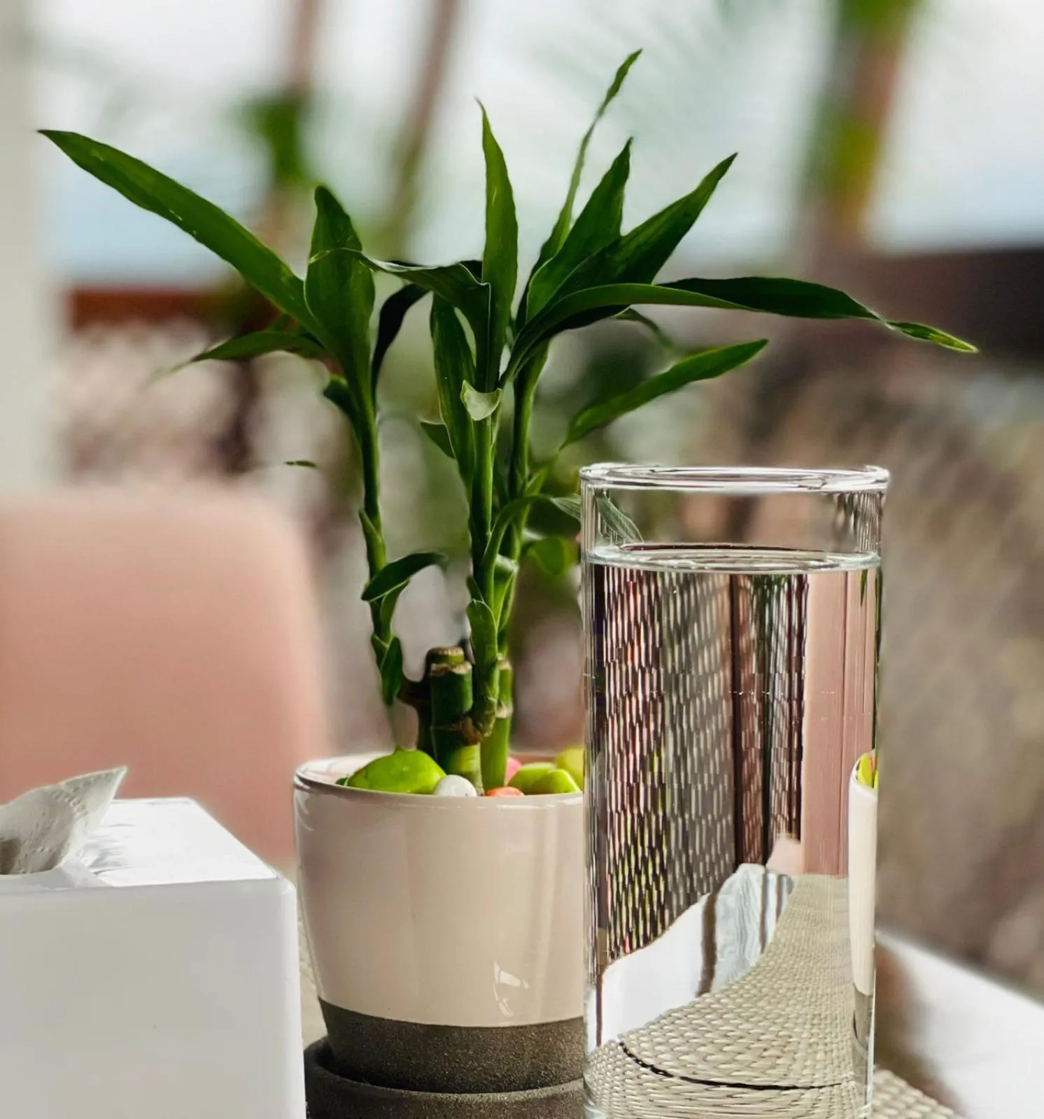 Restaurant/places to eat in Timber House by Tara Group