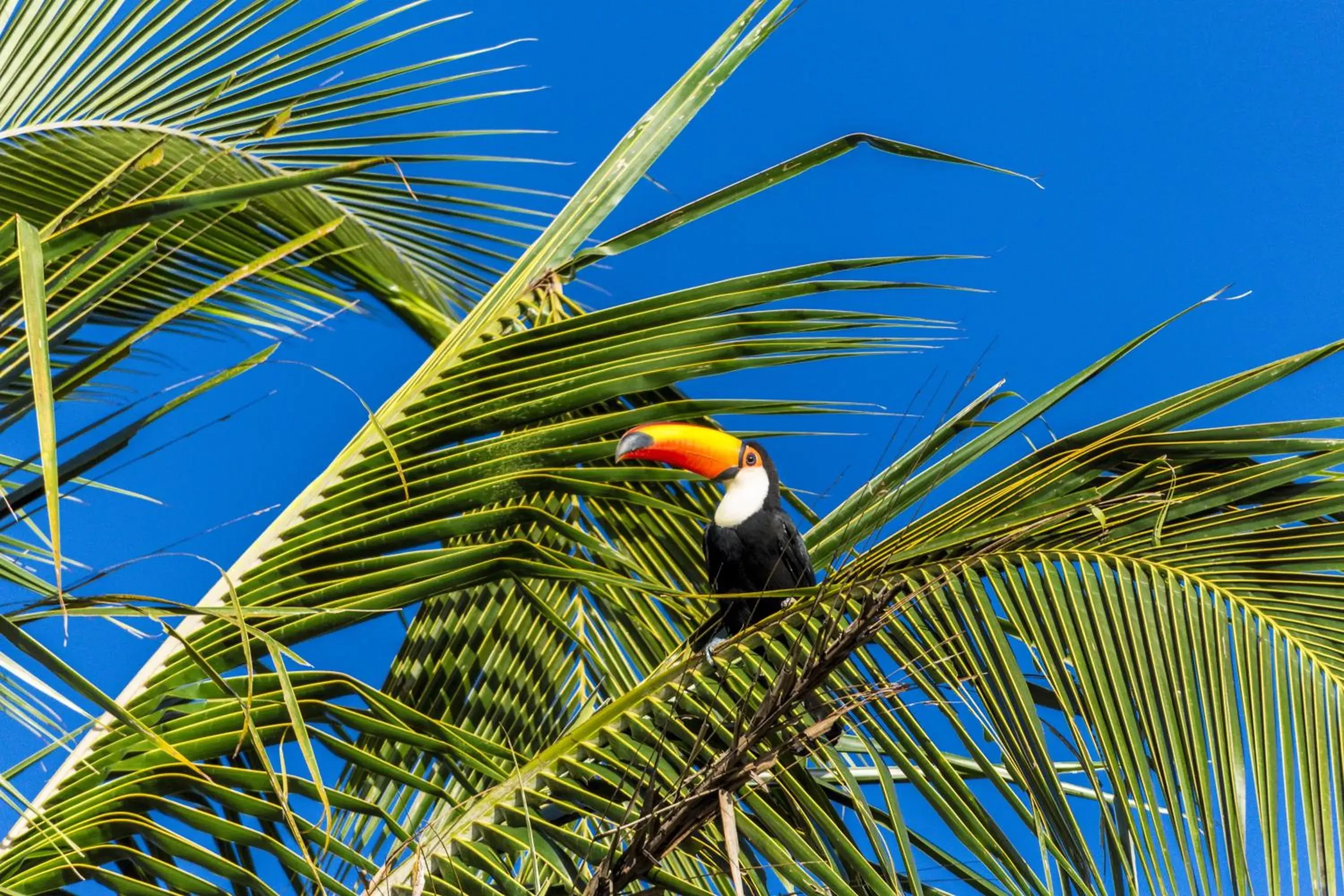 Animals in Zagaia Eco Resort Animals in Zagaia Eco Resort