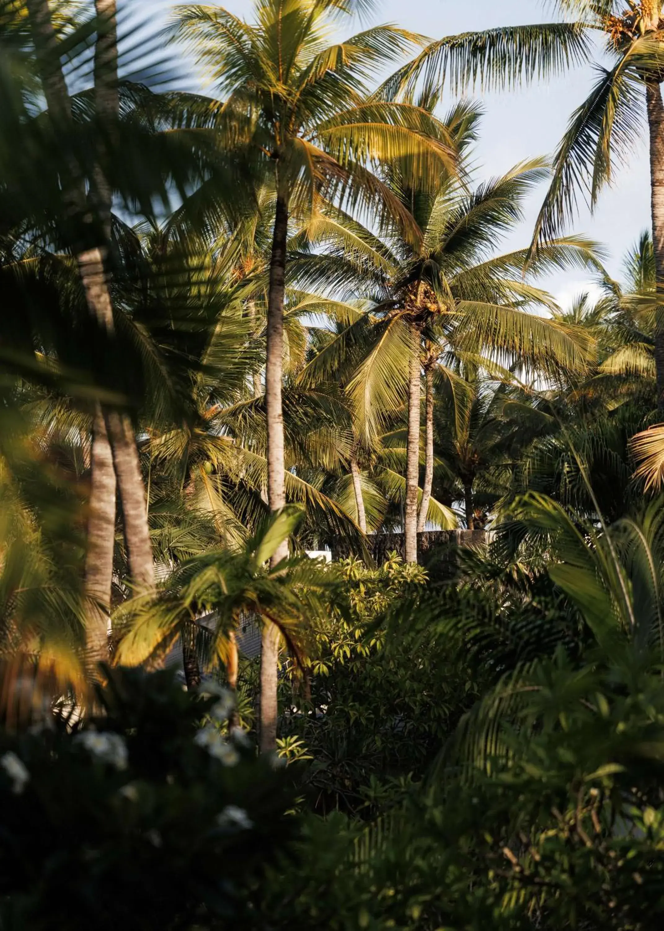 Property building in One&Only Le Saint Géran, Mauritius Property building in One&Only Le Saint Géran, Mauritius