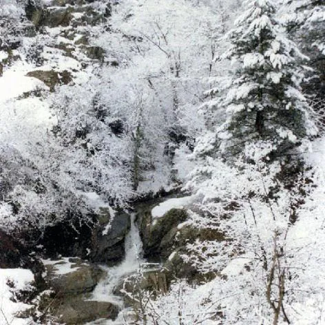 Other in Villa Kastanodasos