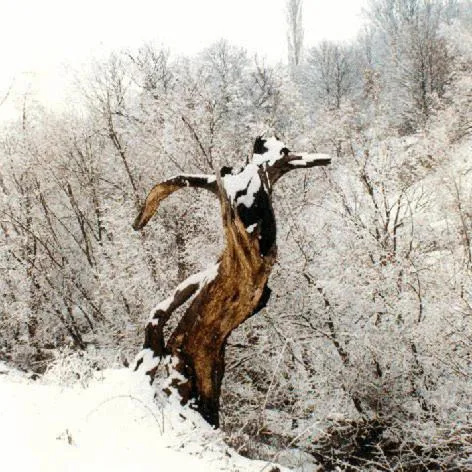 Other in Villa Kastanodasos