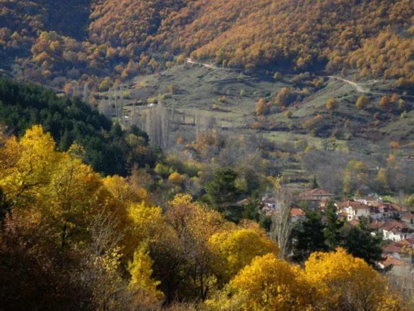 Other in Villa Kastanodasos