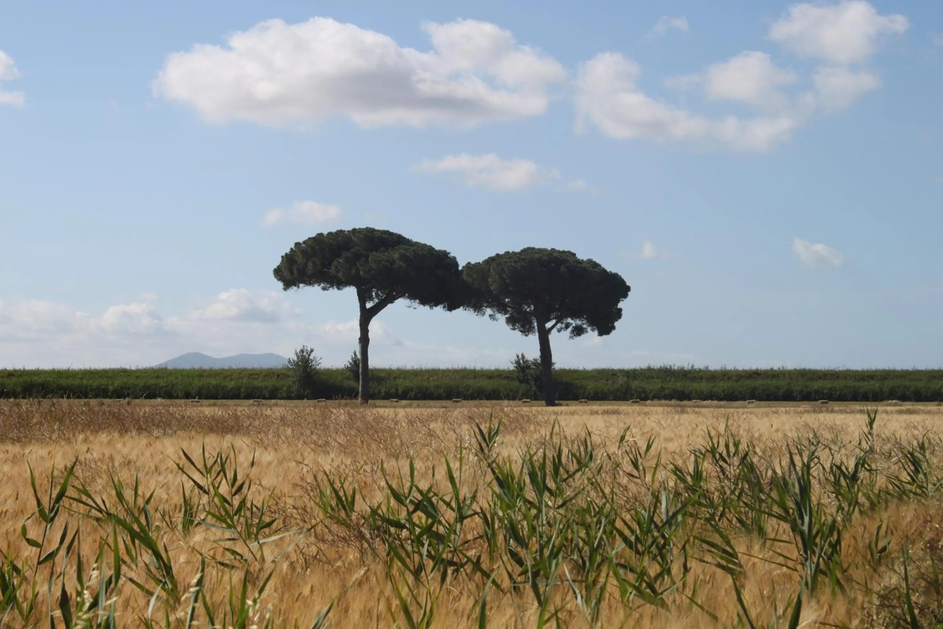 Agriturismo San Luigi