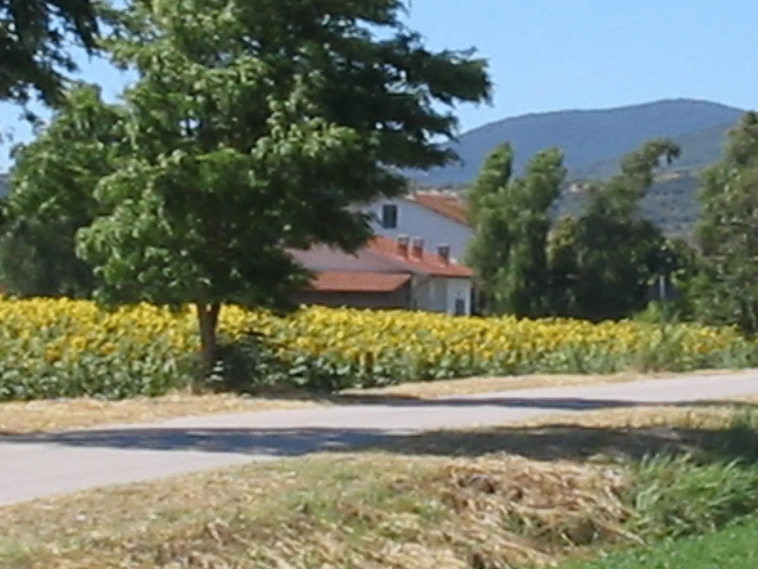 Agriturismo San Luigi