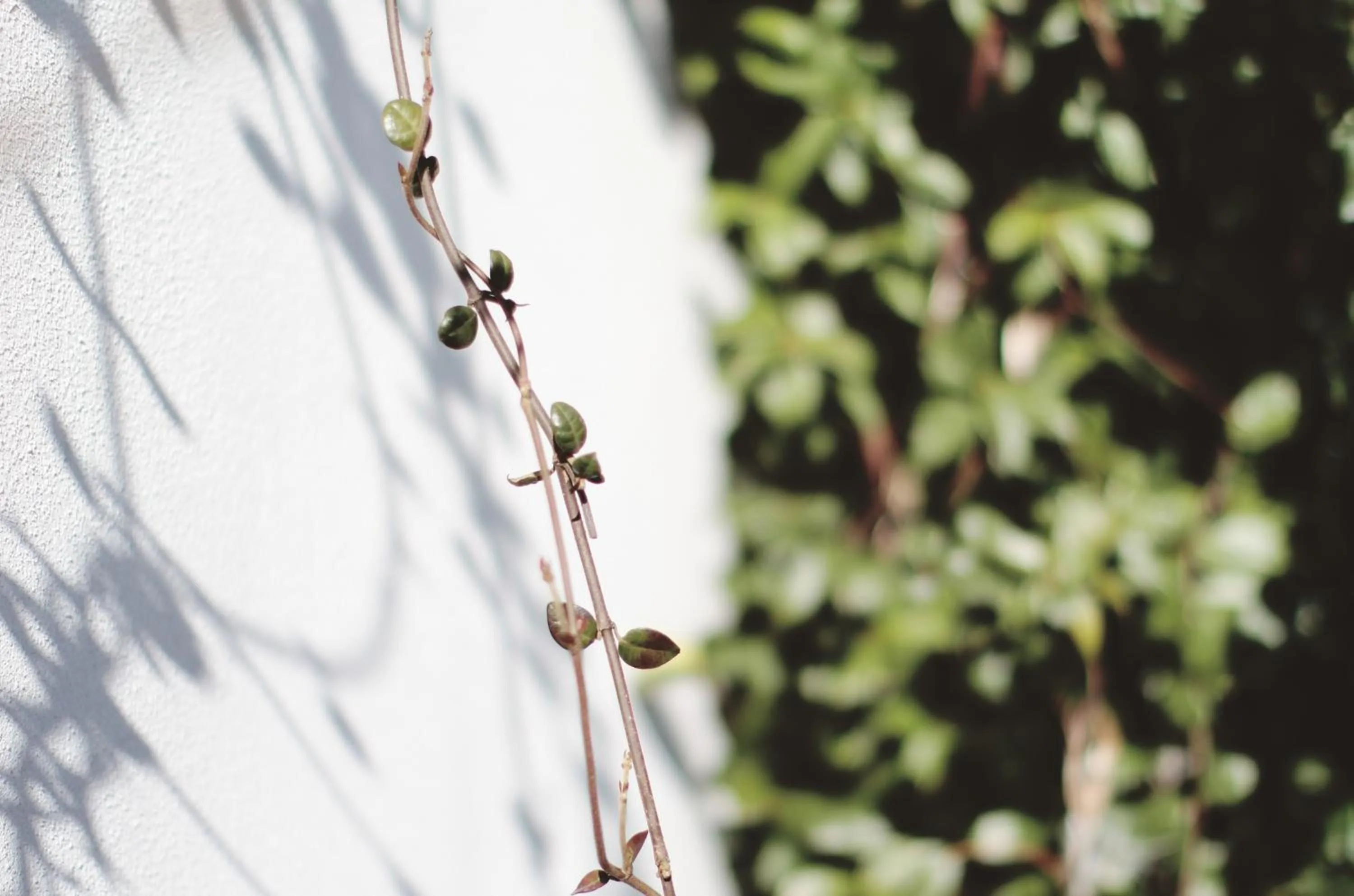 Area and facilities in Agriturismo Beatilla